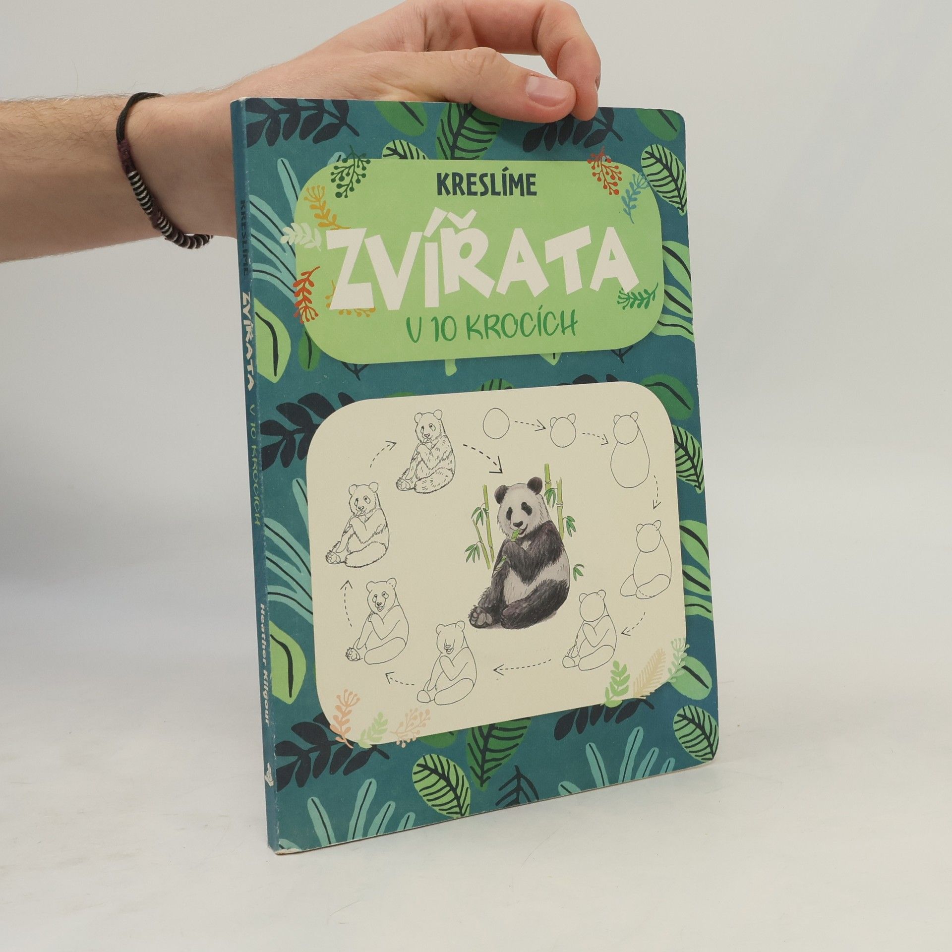 Heather Kilgour Kreslíme zvířata