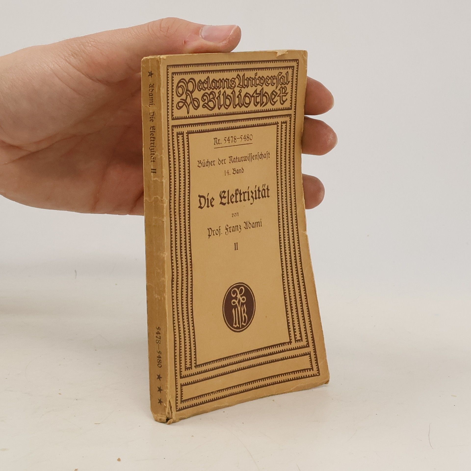 Franz Adami Die Elektrizität