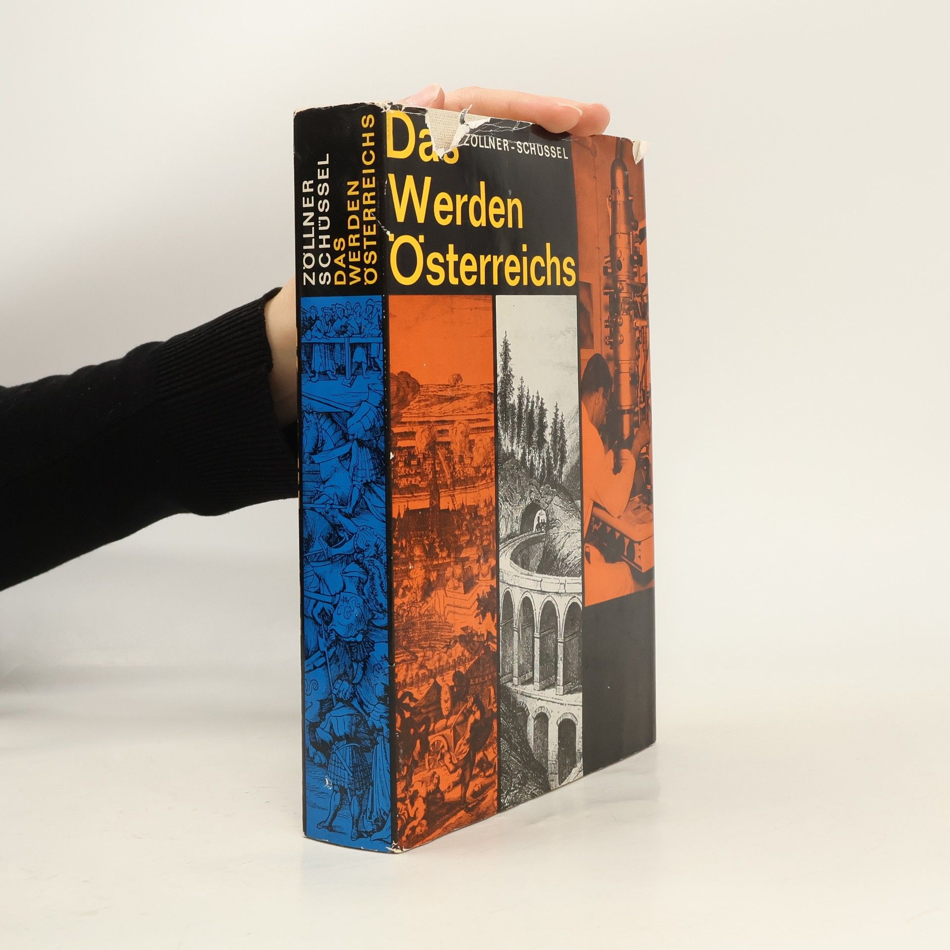 Das Werden Österreichs