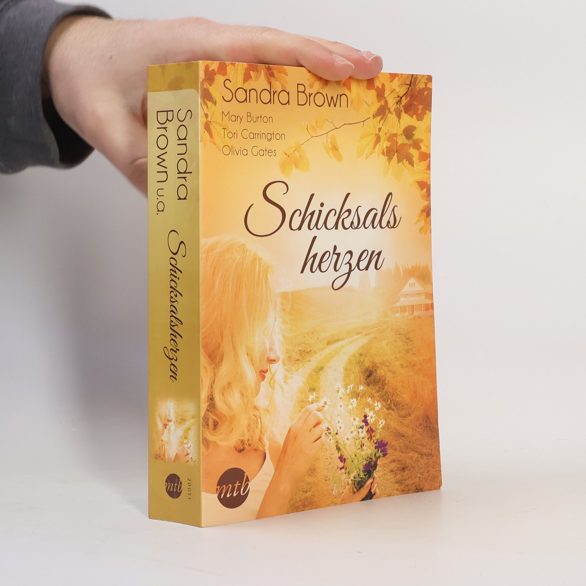 Sandra Brown Schicksalsherzen