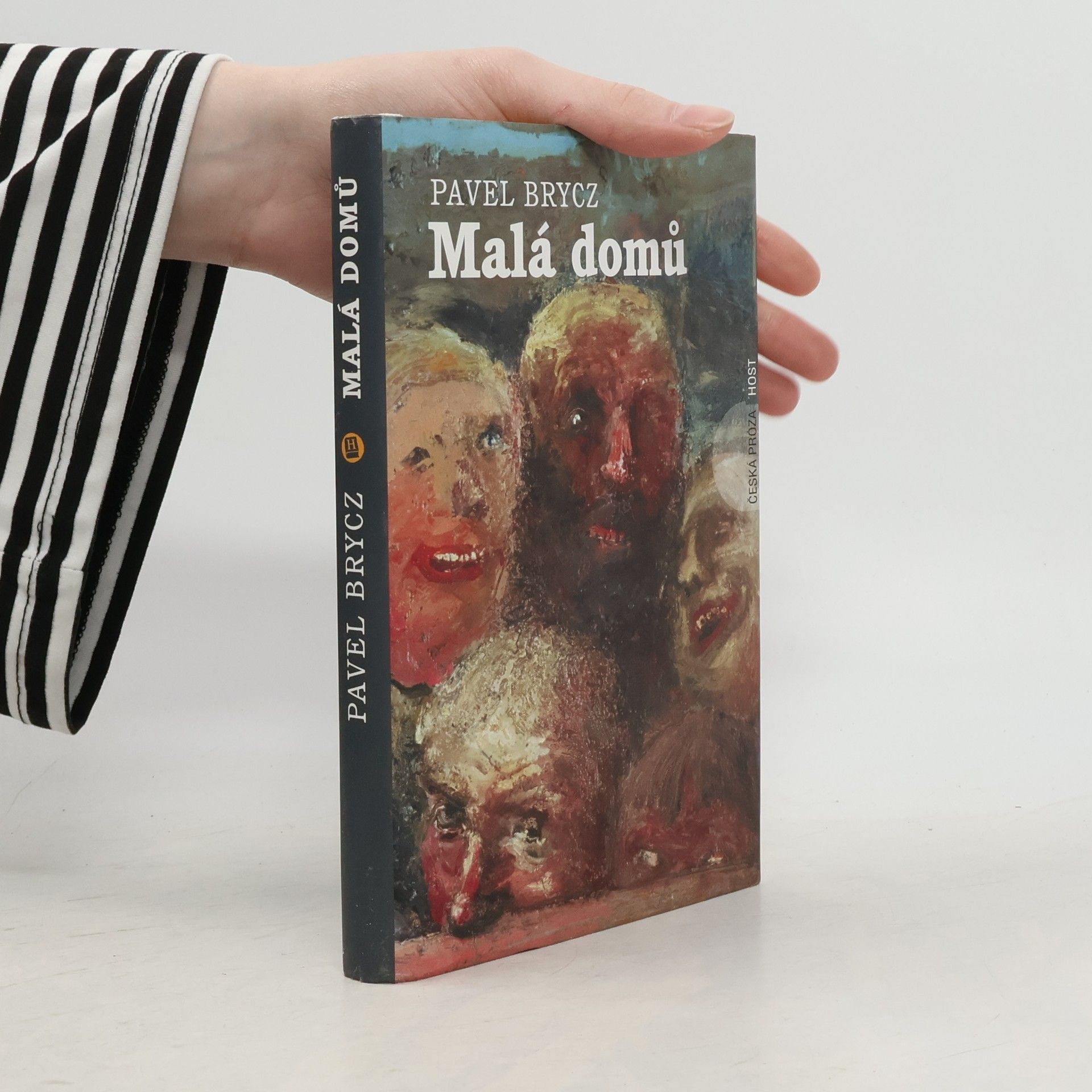 Pavel Brycz Malá domů