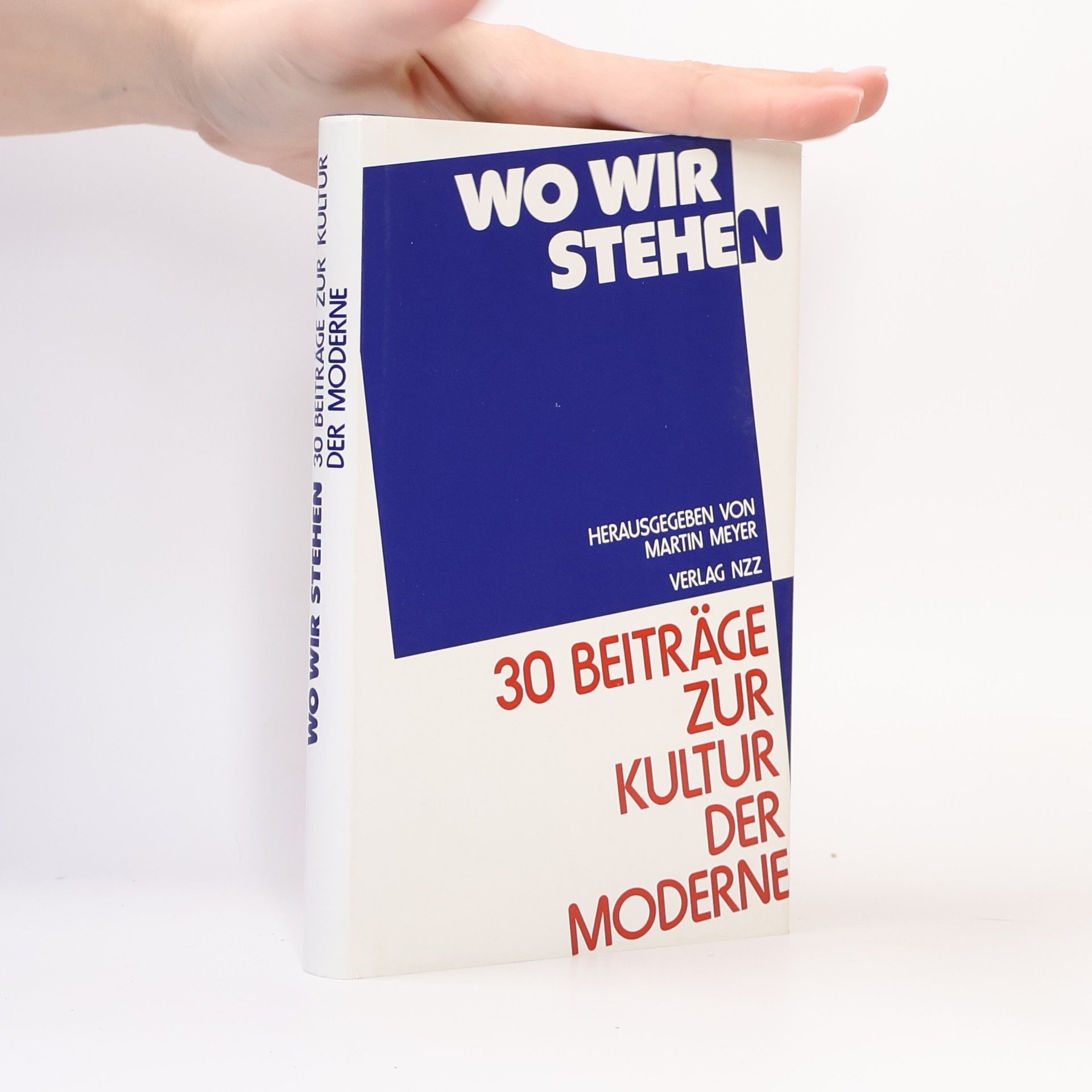 Martin Meyer Wo wir stehen