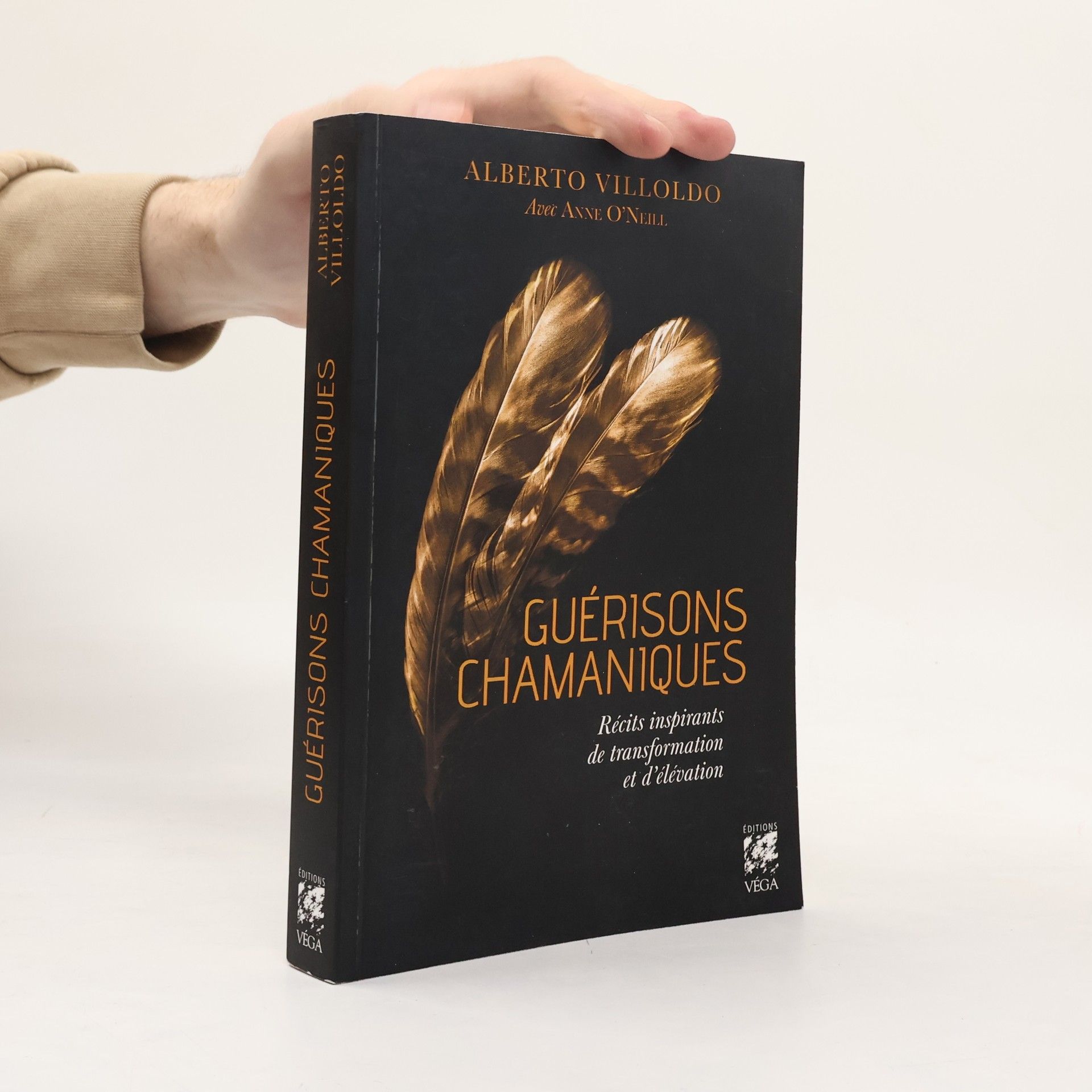 Anne O'Neill Guérisons chamaniques