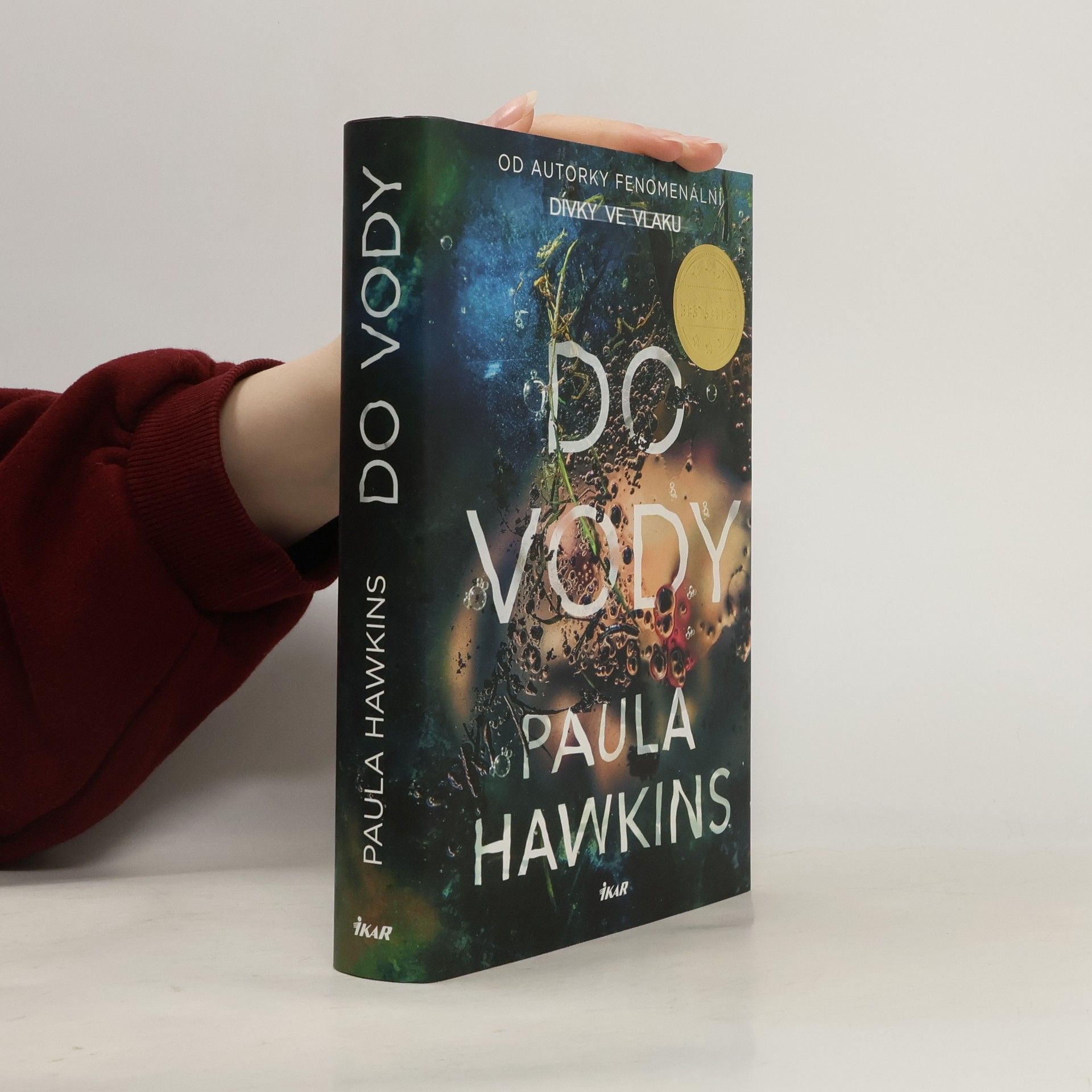 Paula Hawkins Do vody