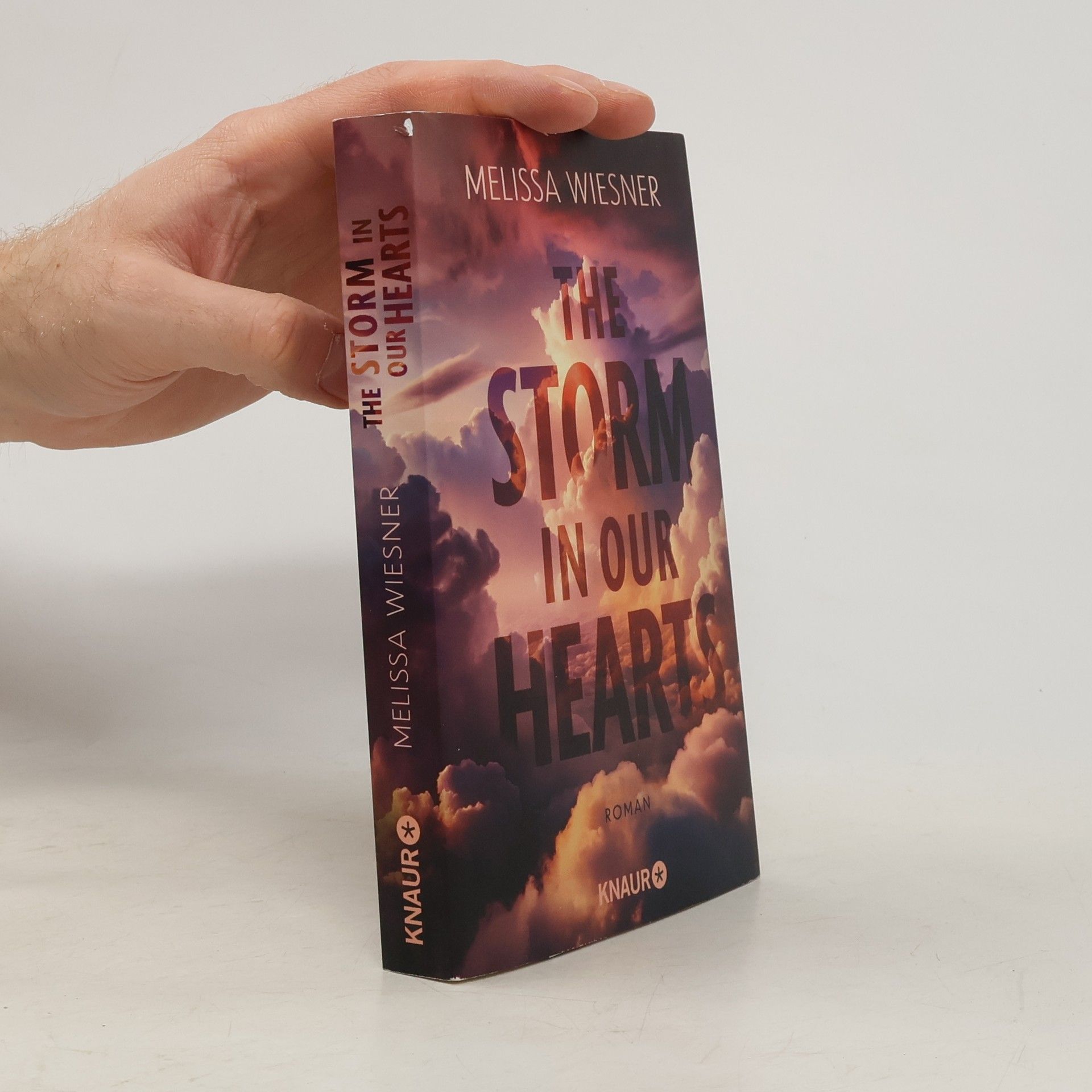 Melissa Wiesner The Storm in Our Hearts