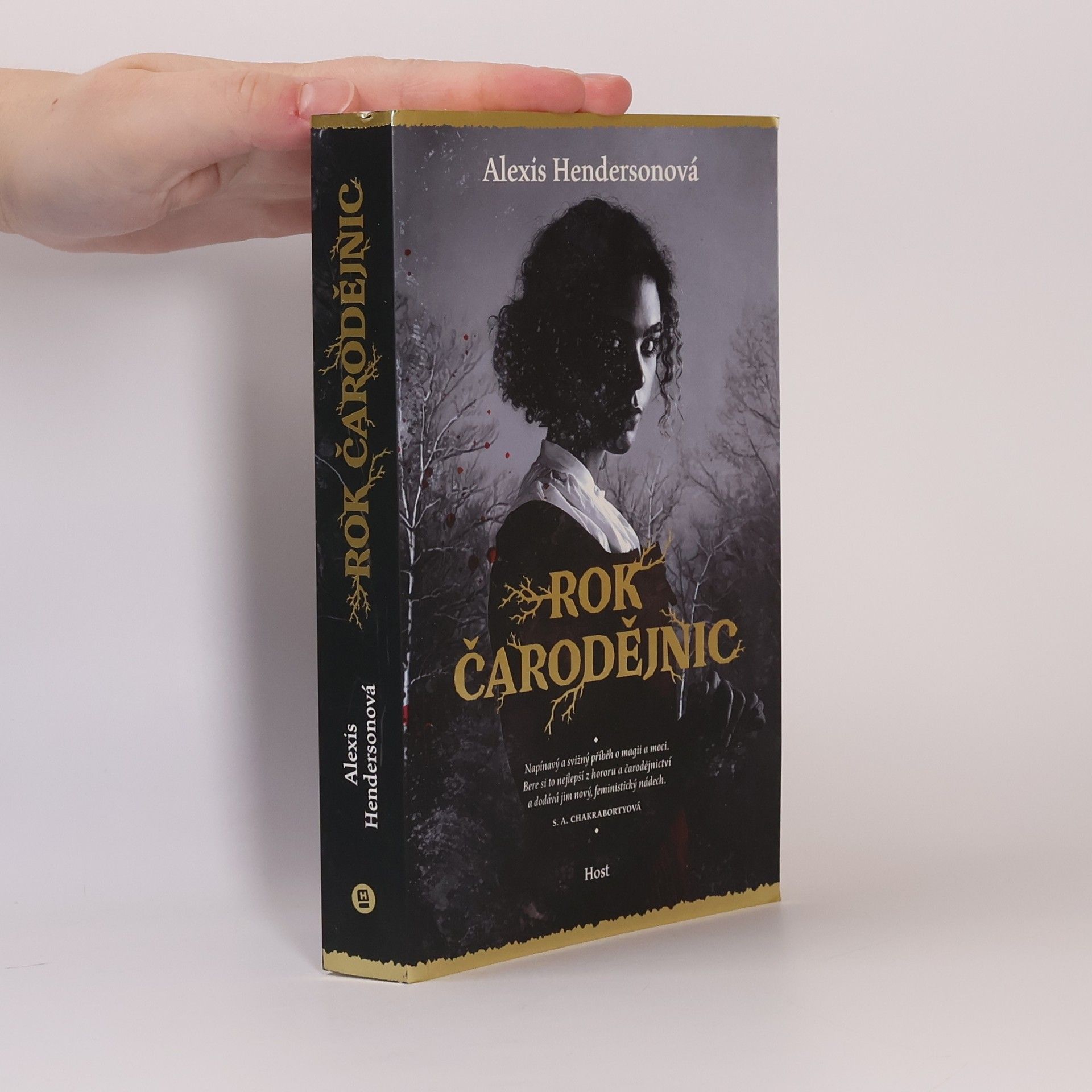 Alexis Henderson Rok čarodějnic