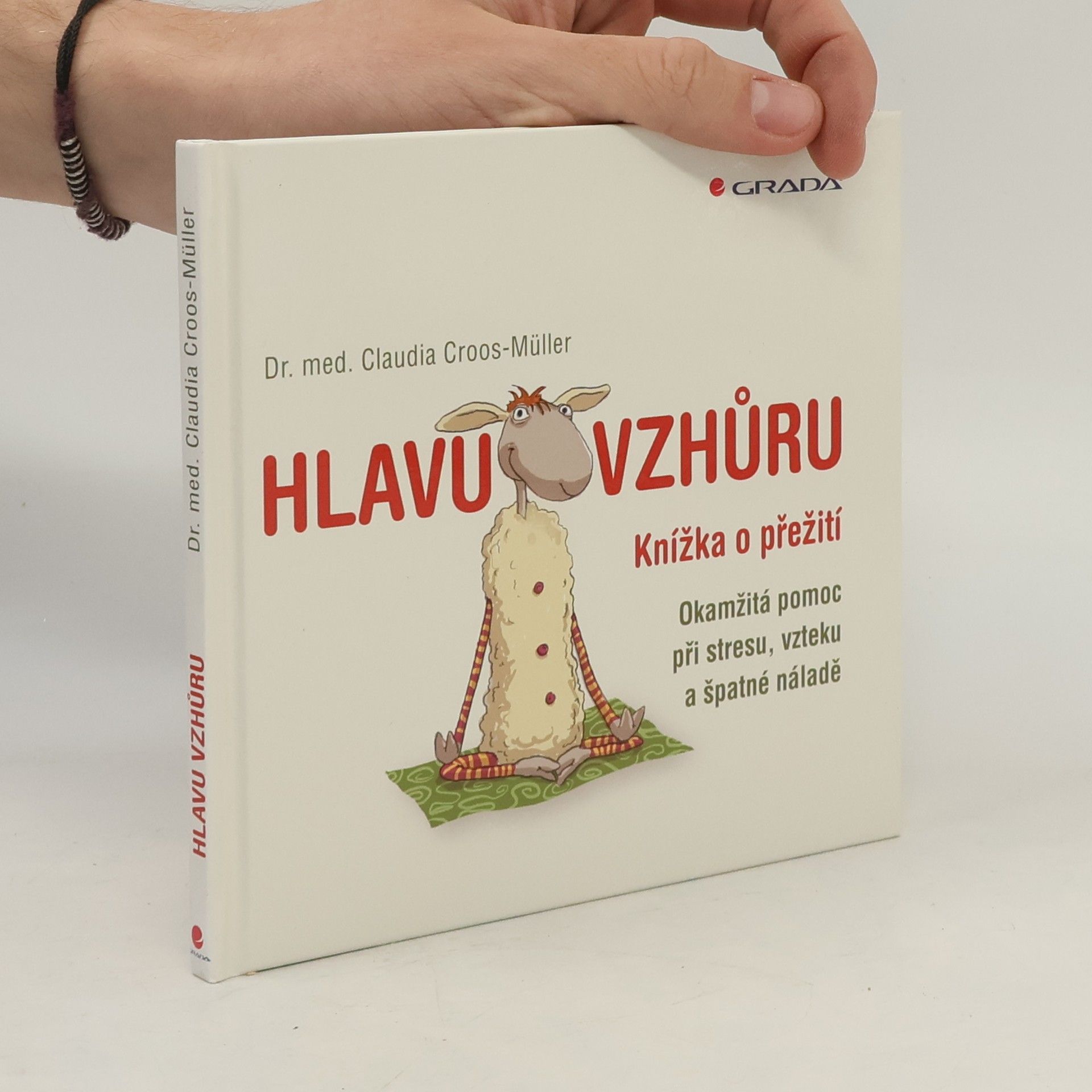 Claudia Croos-Müller Hlavu vzhůru: Knížka o přežití : okamžitá pomoc při stresu, vzteku a špatné náladě