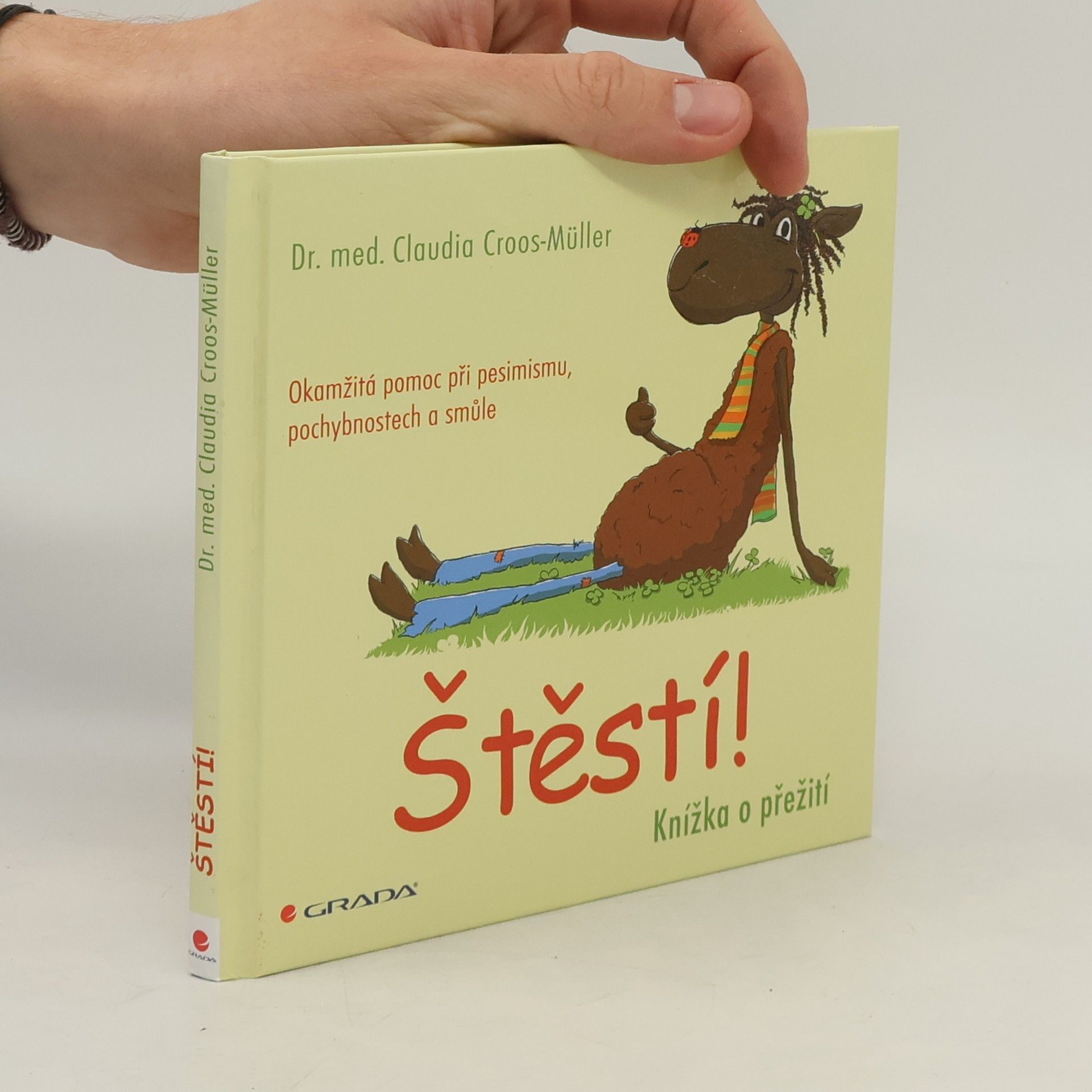 Štěstí! : knížka o přežití : Okamžitá pomoc při pesimismu, pochybnostech a smůle