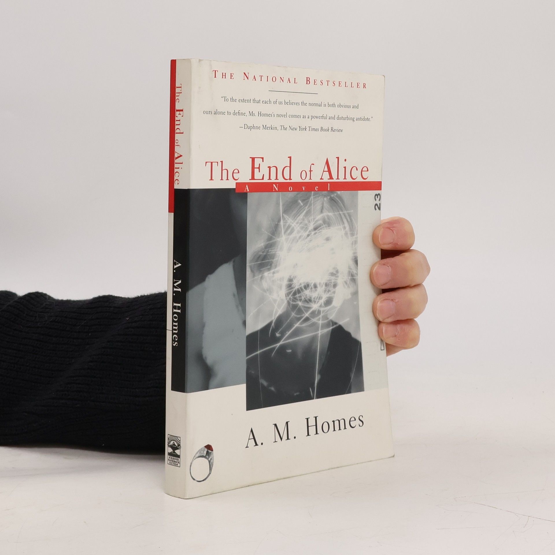 A. M. Homes The End of Alice