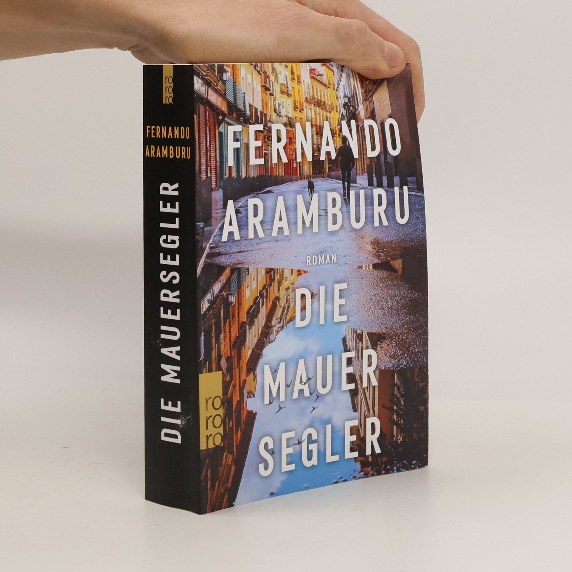 Fernando Aramburu Die Mauersegler