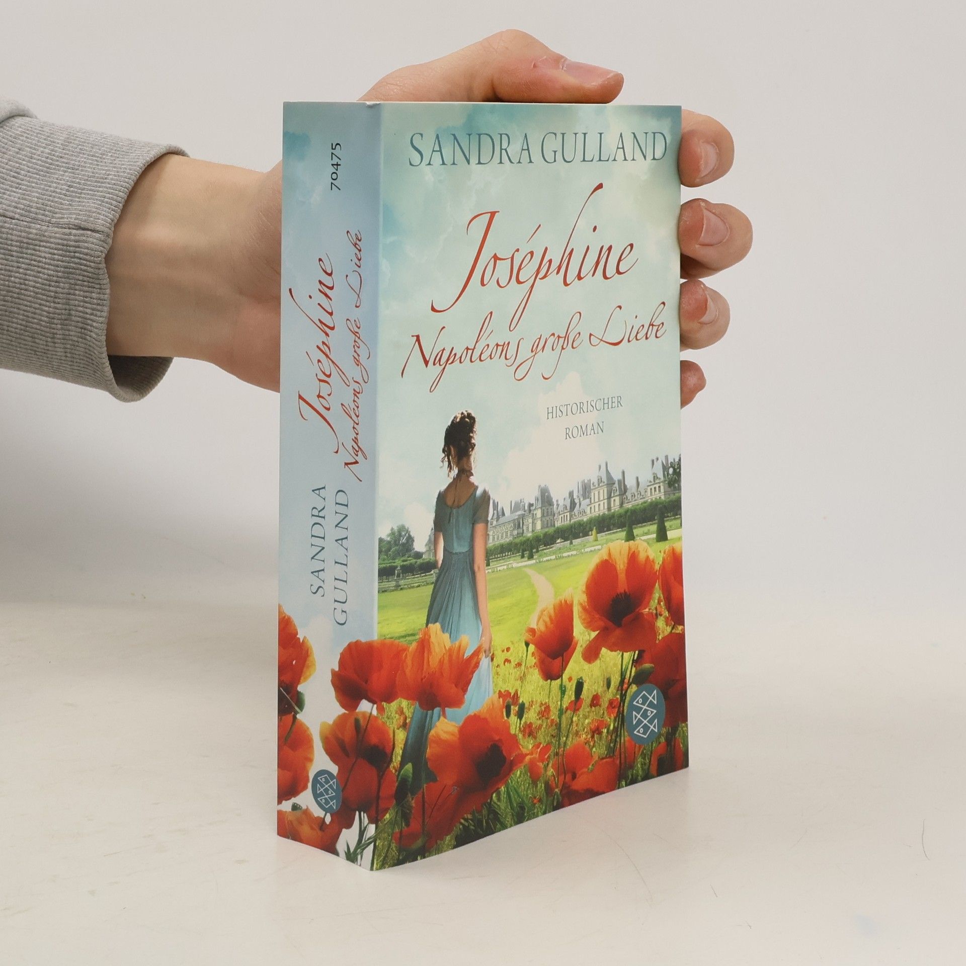 Sandra Gulland Joséphine - Napoléons große Liebe