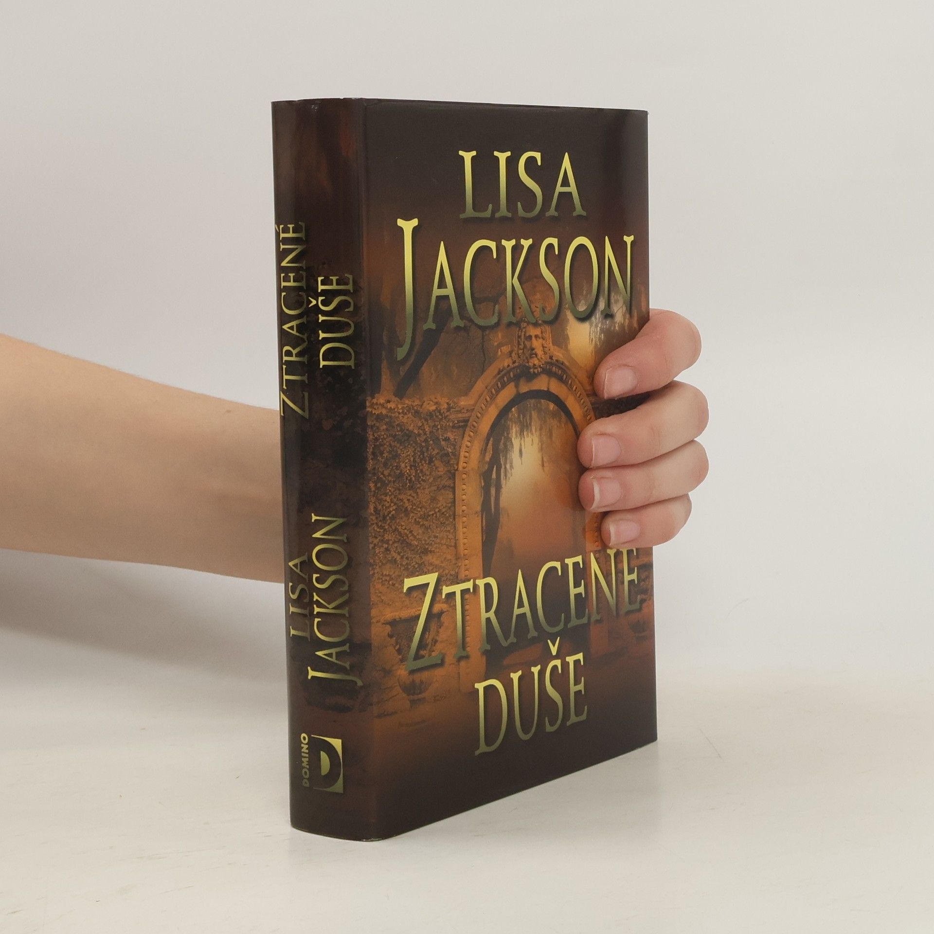 Lisa Jackson Ztracené duše