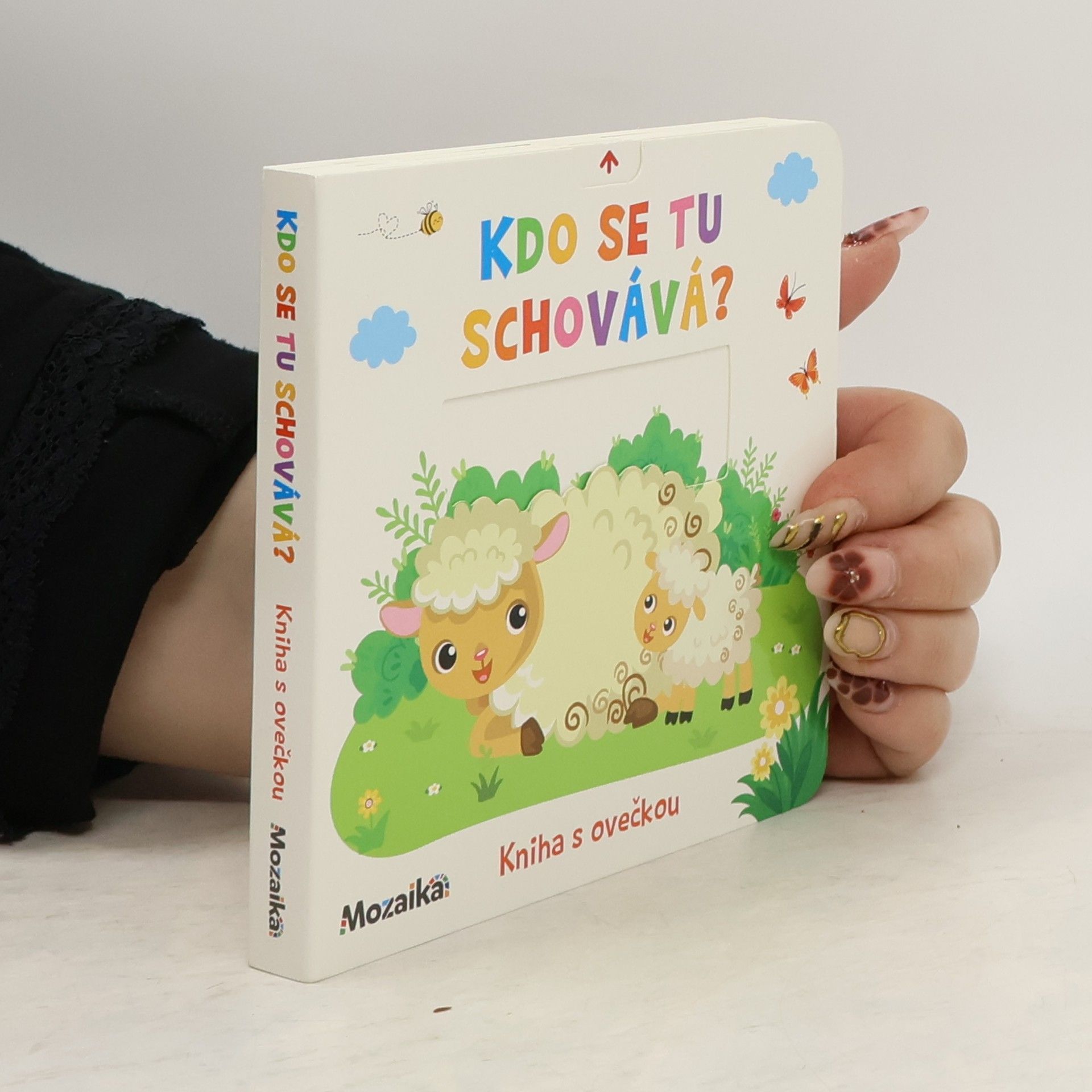 Collectif d'auteurs Kdo se tu schovává?