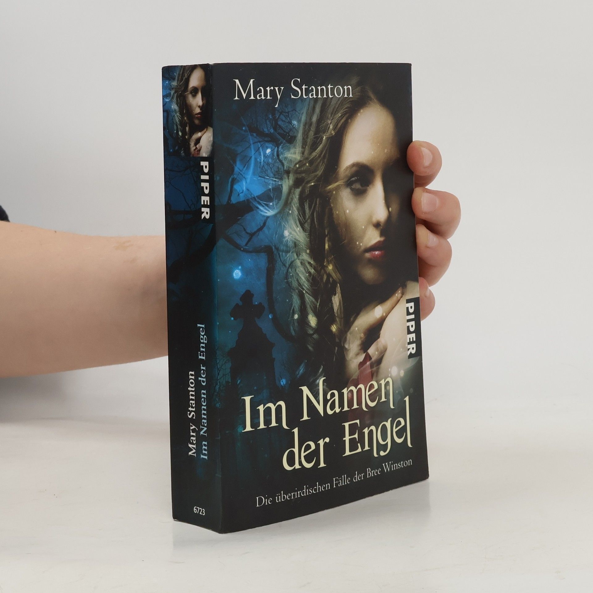 Mary Stanton Die überirdischen Fälle der Bree Winston. Im Namen der Engel