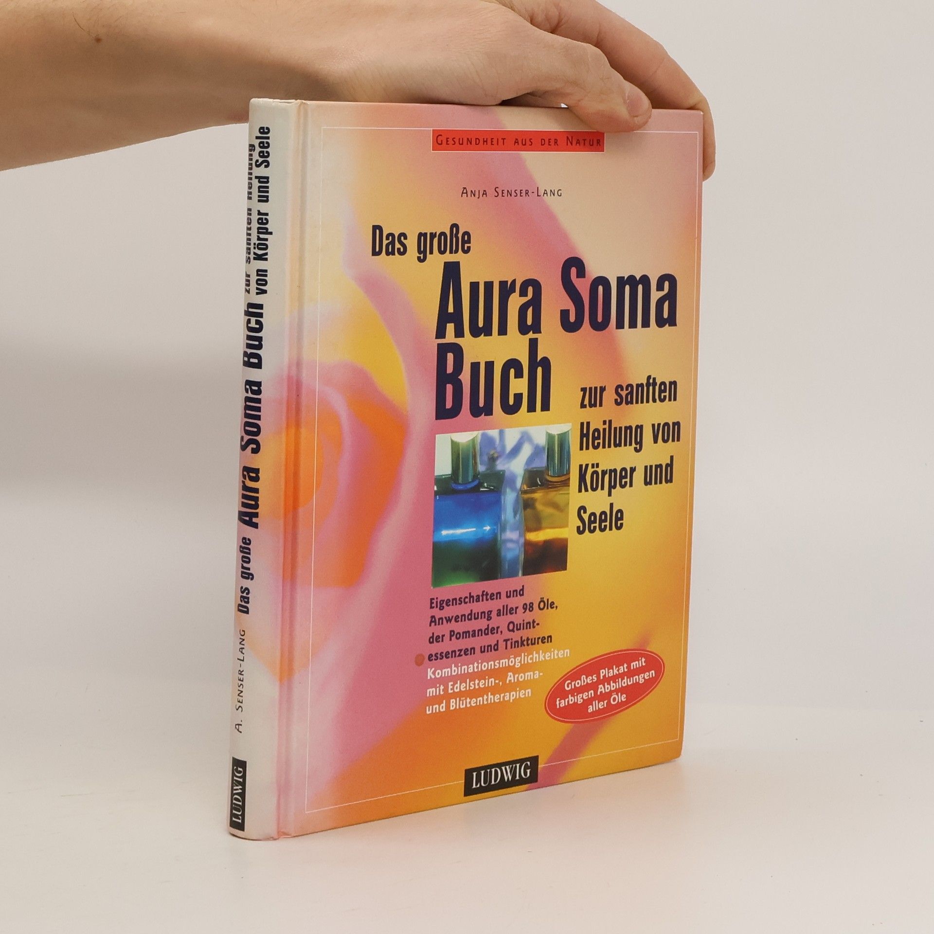 Anja Senser Das große Aura-Soma-Buch zur sanften Heilung von Körper und Seele
