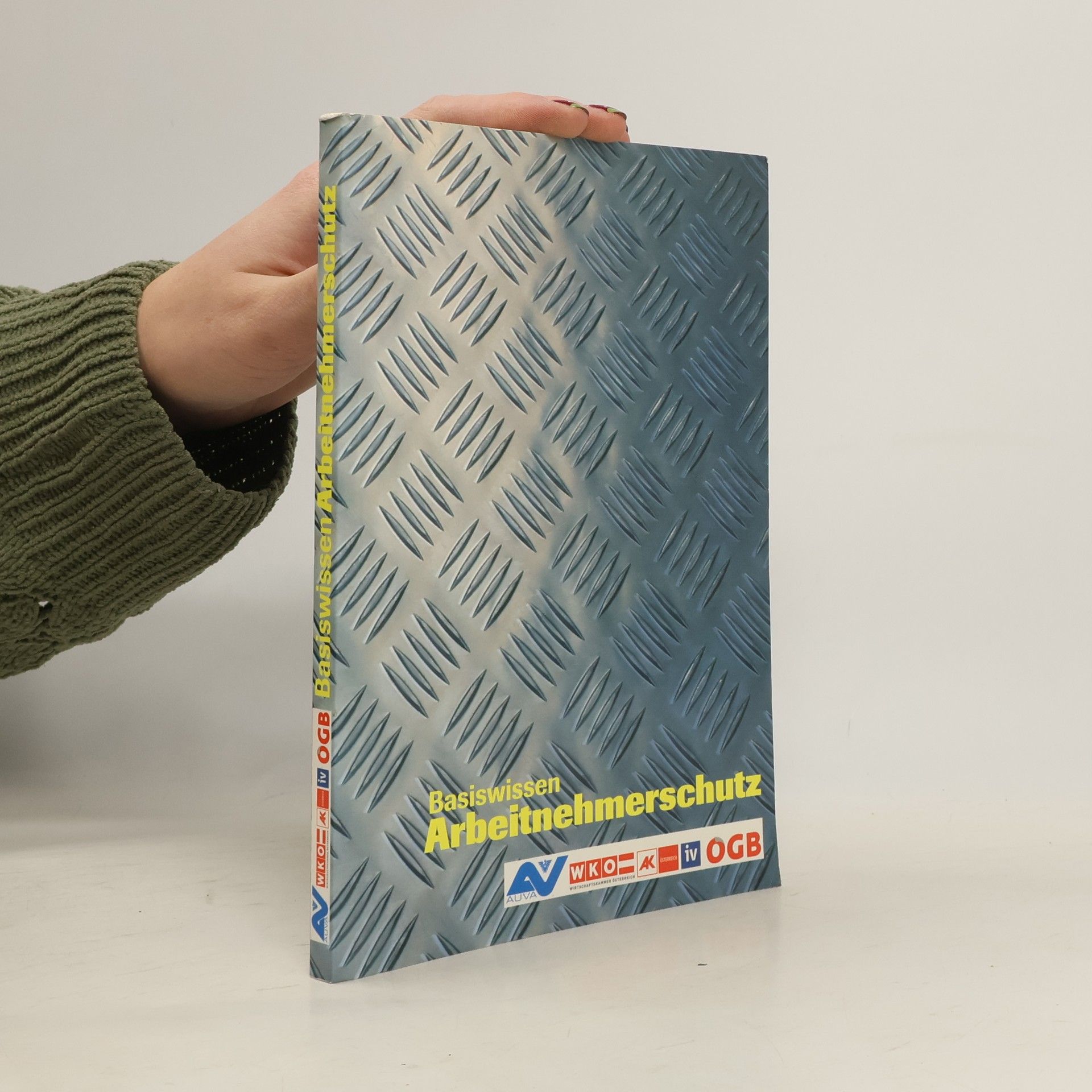 Collectif d'auteurs Basiswissen Arbeitnehmerschutz