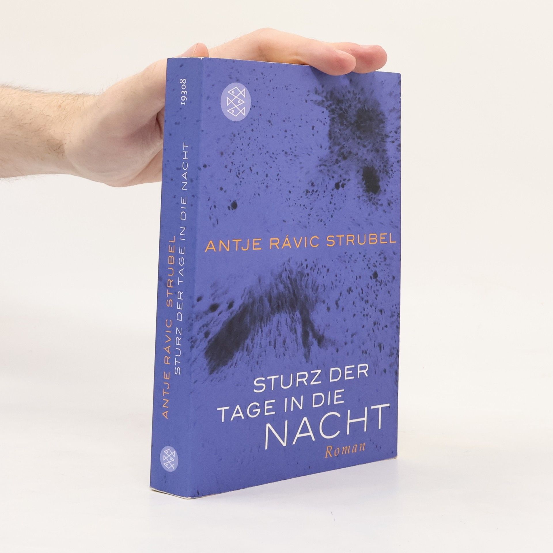 Antje Rávik Strubel Sturz der Tage in die Nacht