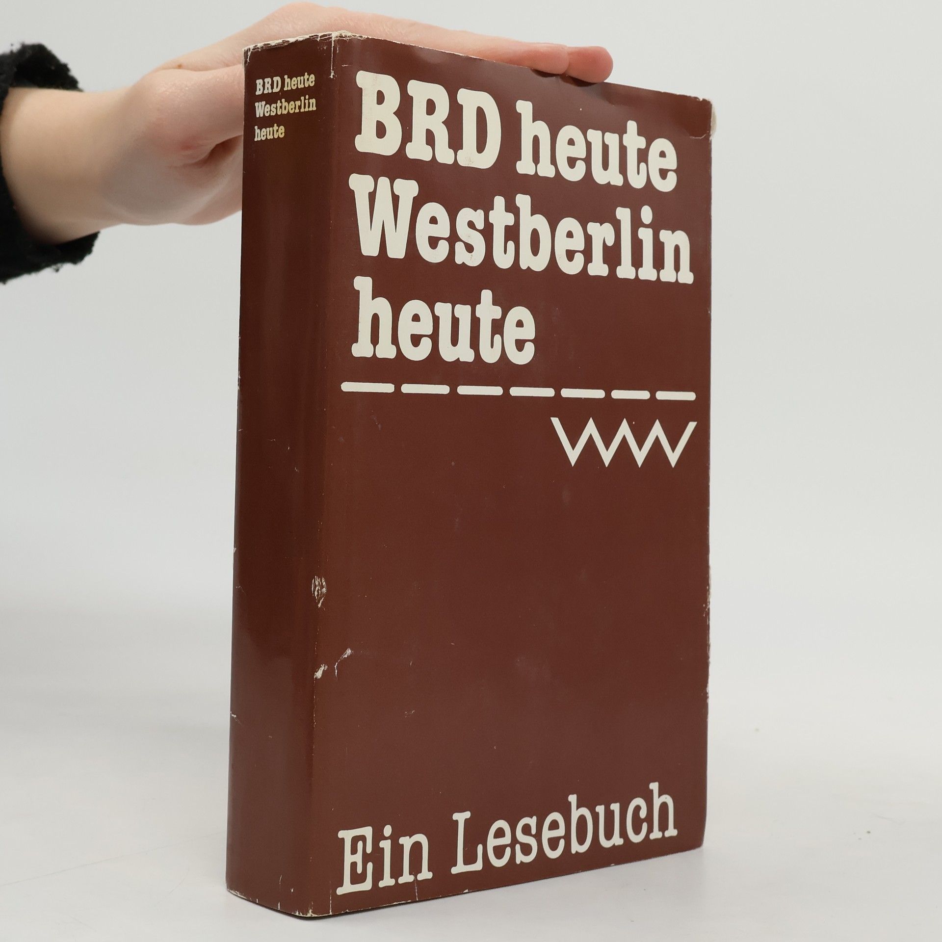 Christlieb Hirte BRD heute. Westberlin heute. Ein Lesebuch