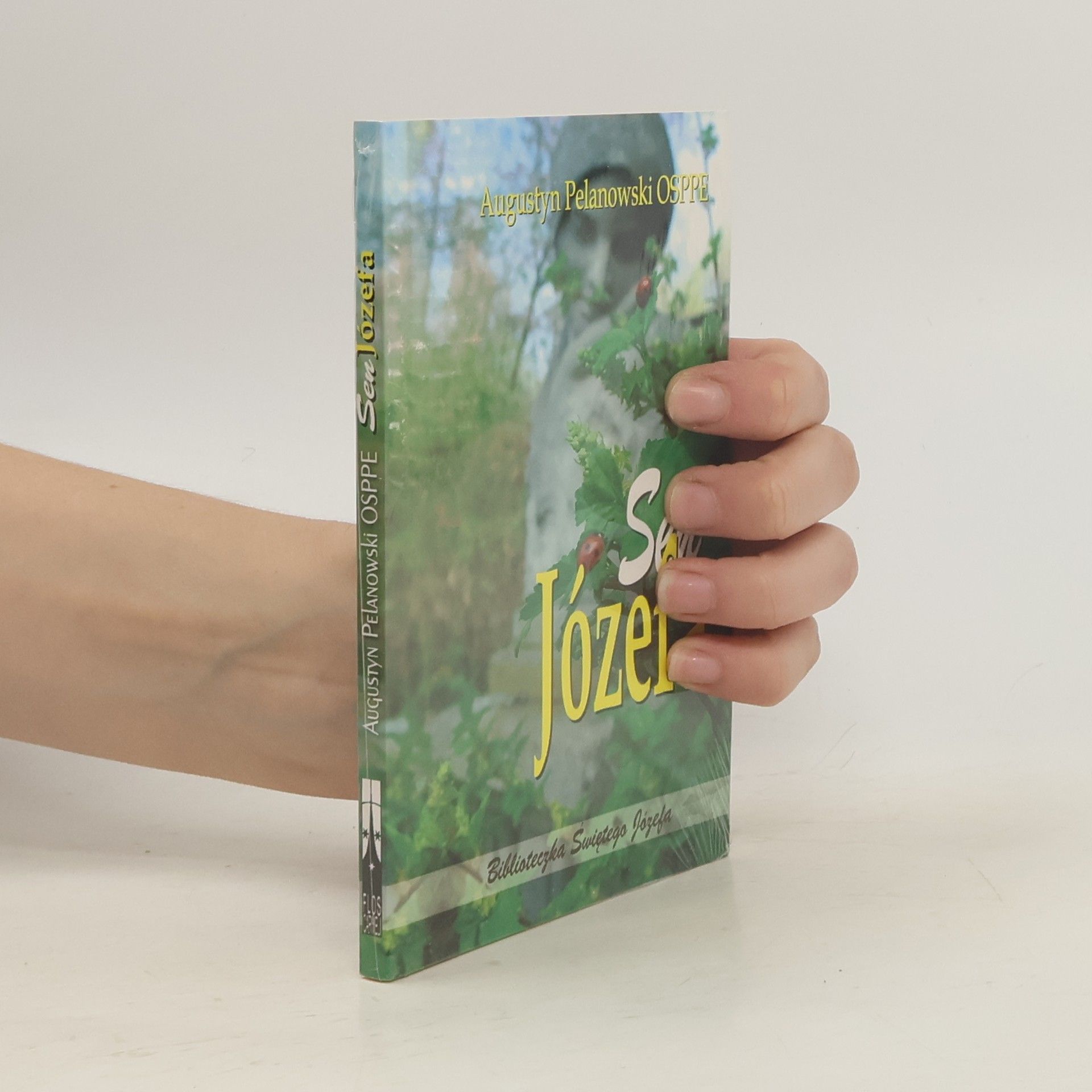 Wiesław Augustyn Pelanowski Biblioteczka Świętego Józefa: Sen Józefa