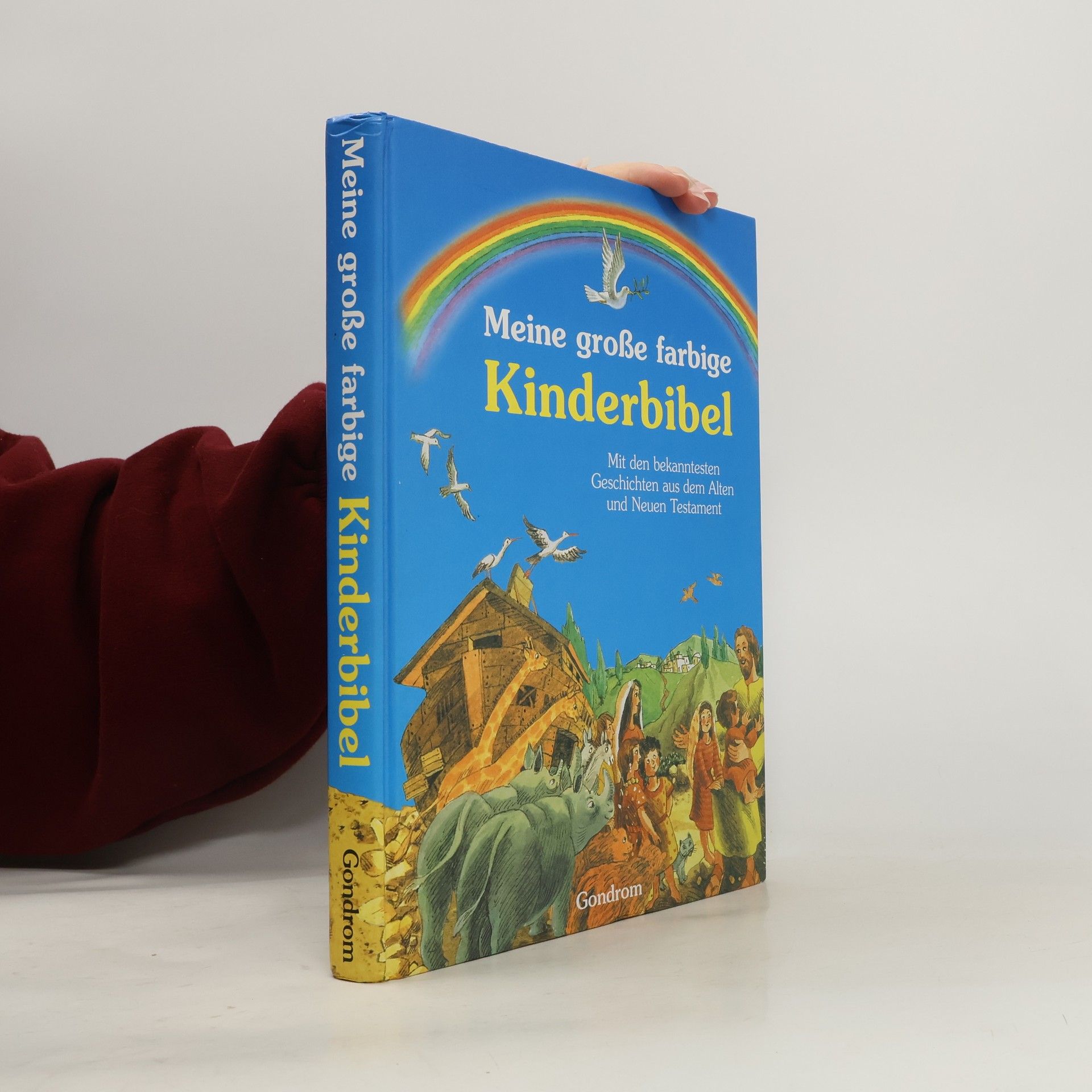 Meine große farbige Kinderbibel