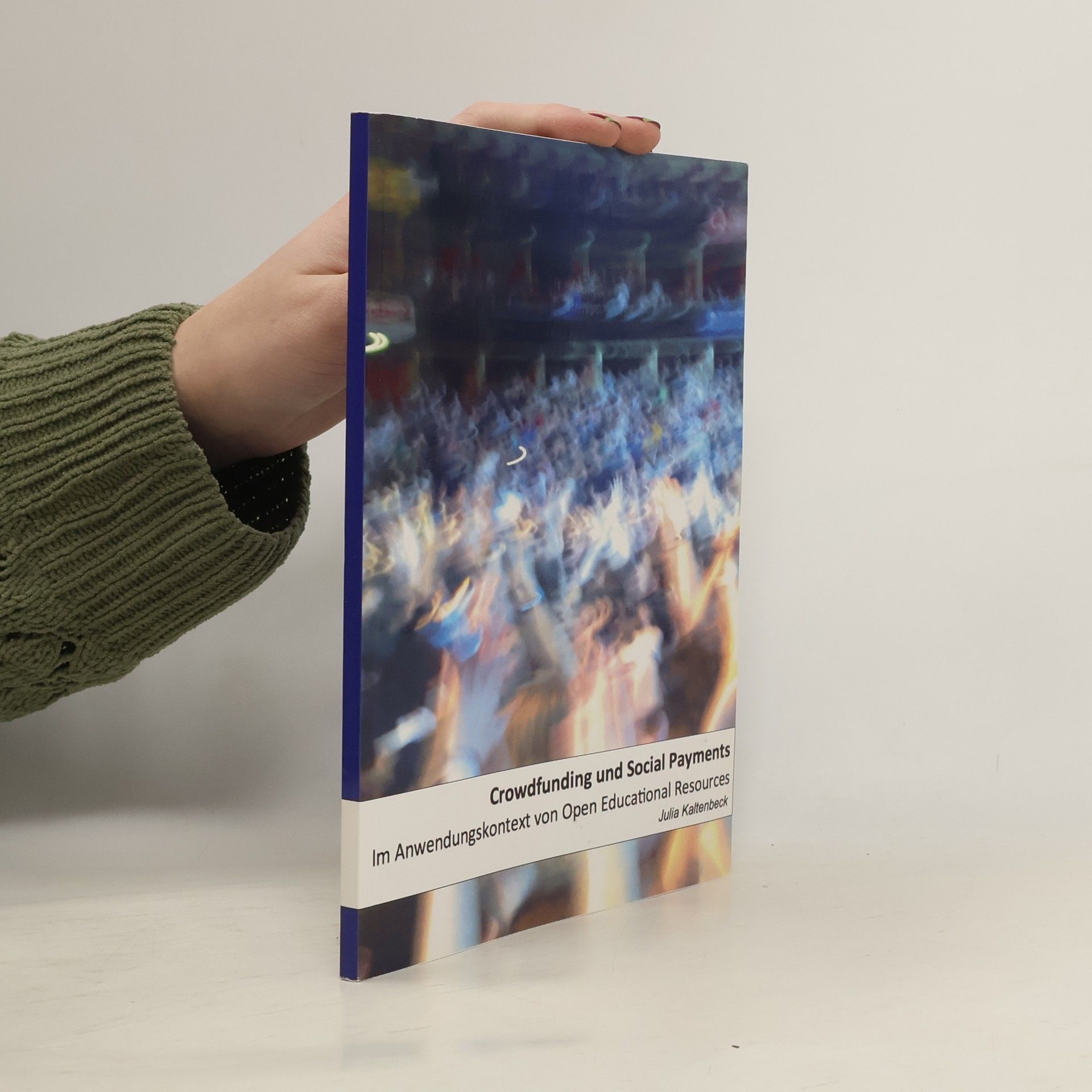 Julia Kaltenbeck Crowdfunding und Social Payments