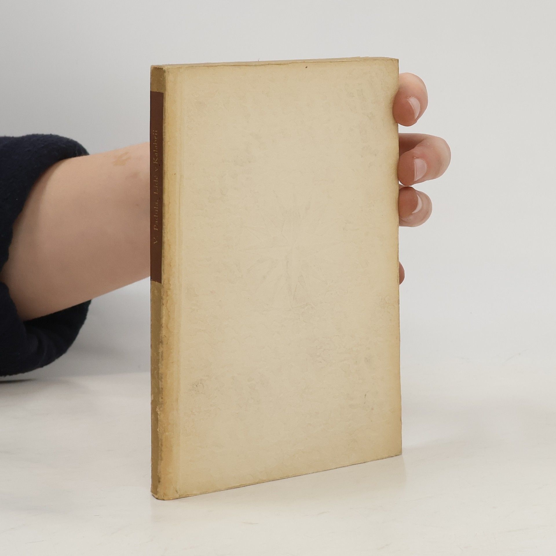 Vincenzo Padula Lidé v Kalabrii