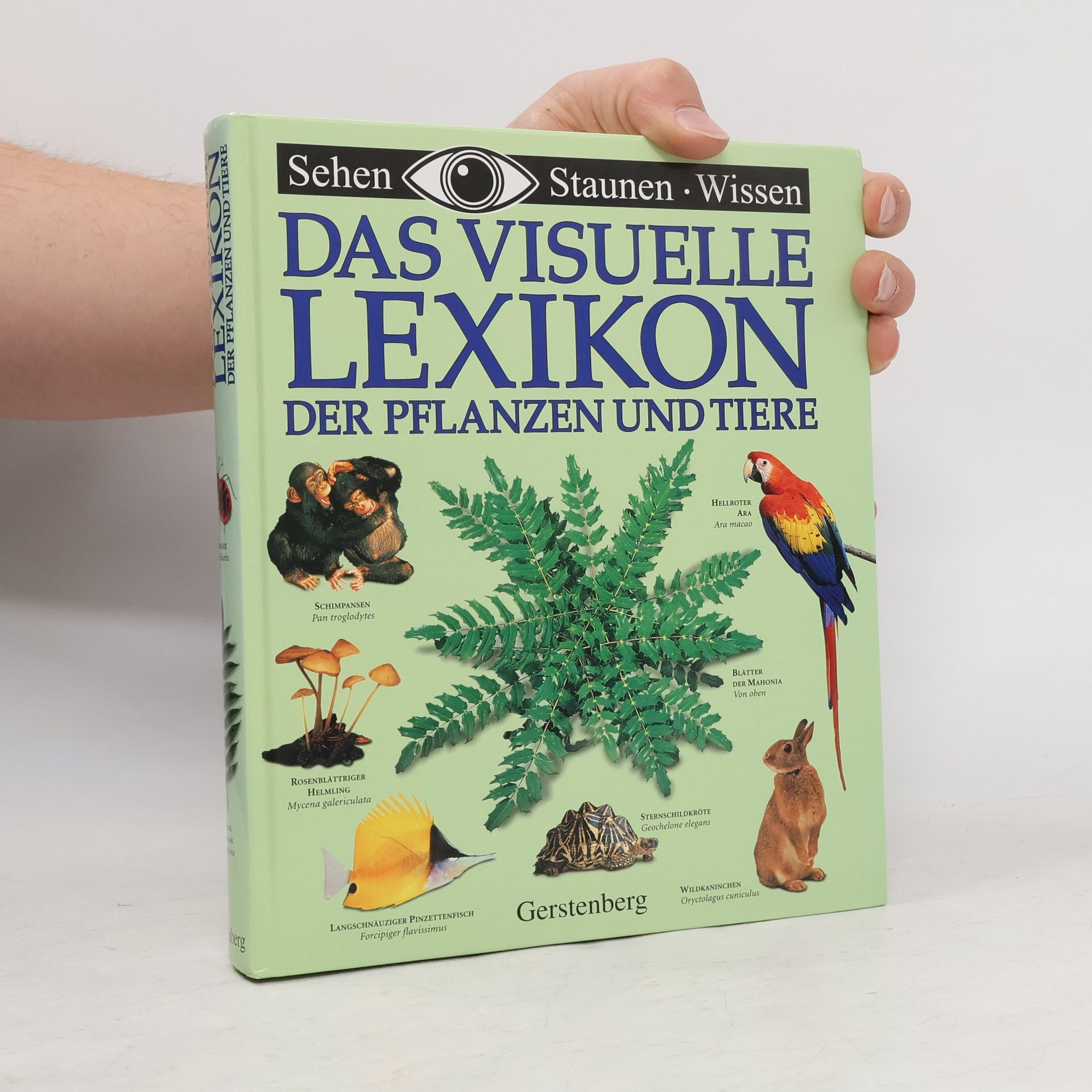 David Burnie Das visuelle Lexikon der Pflanzen und Tiere