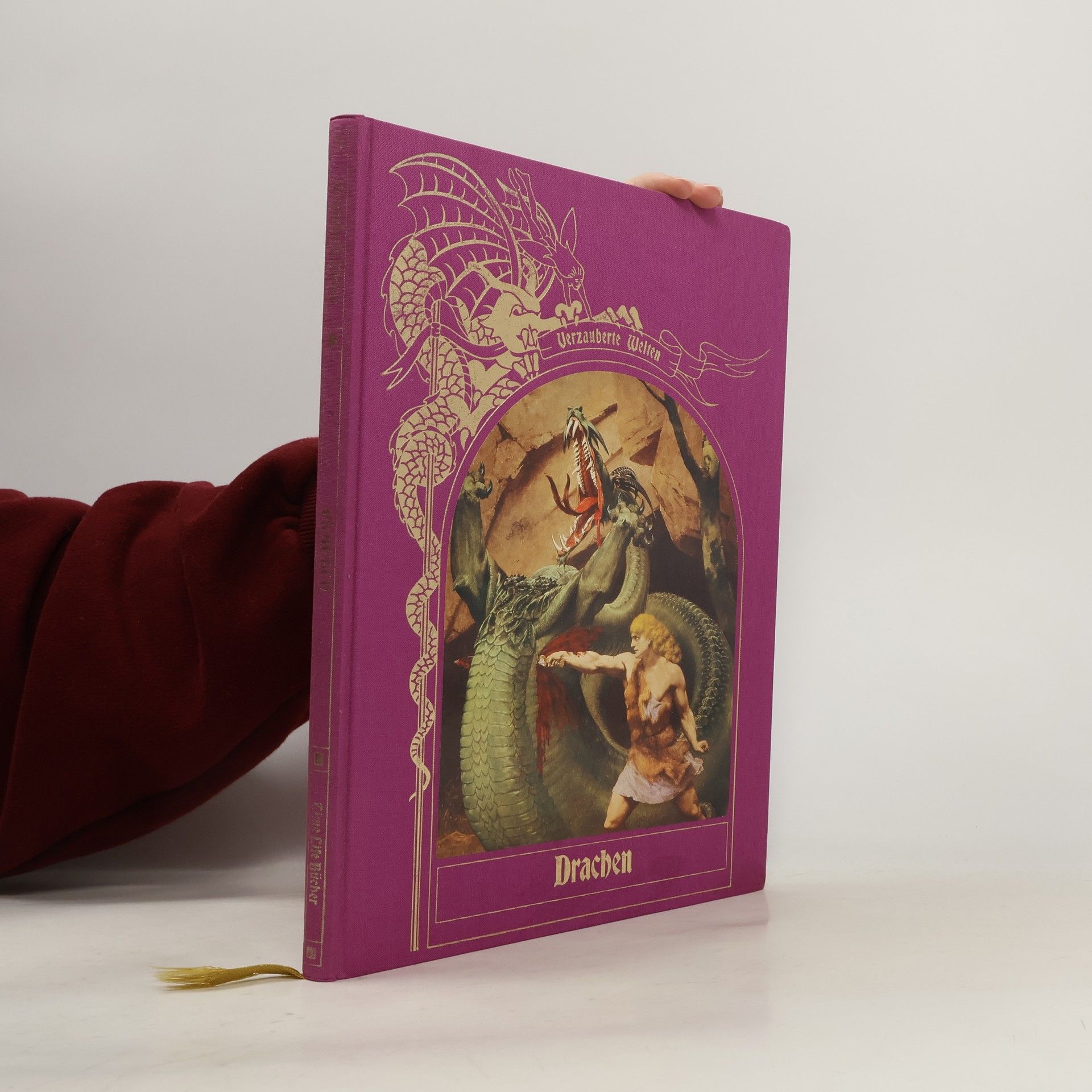 Tim Appenzeller Drachen