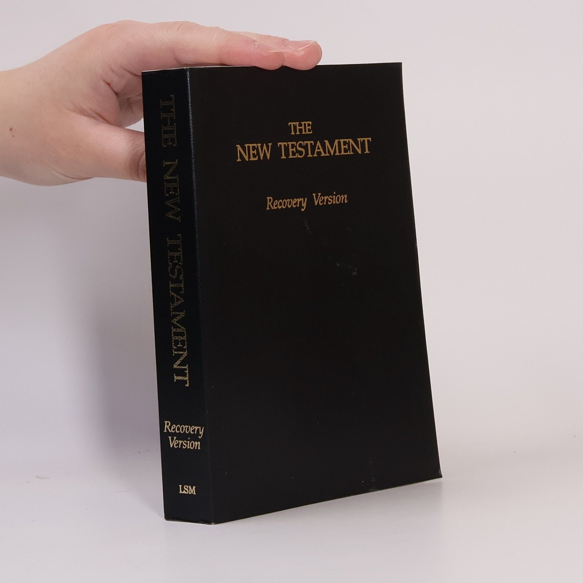 Kolektiv autorů The New Testament. Recovery Version