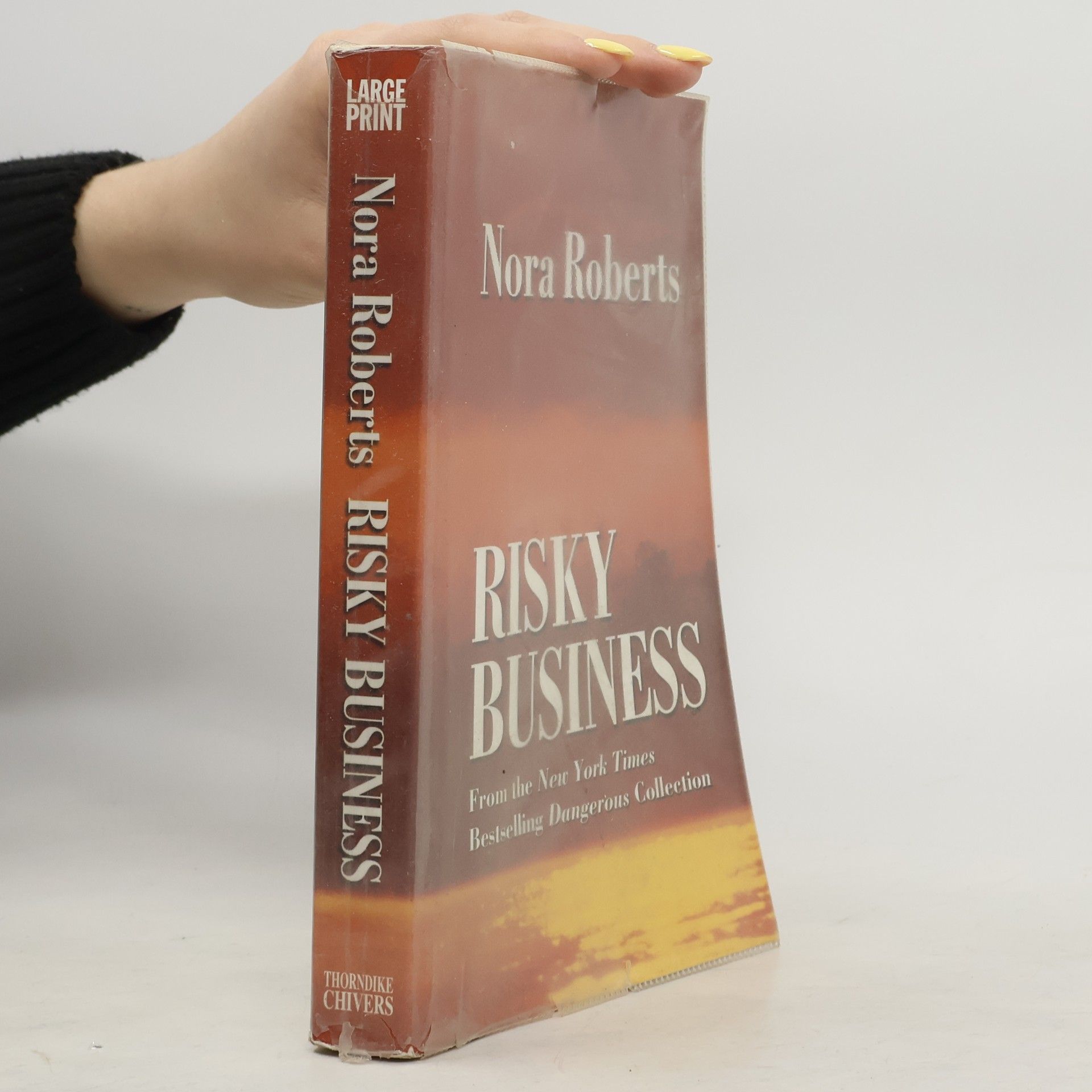 Nora Roberts Risky Business - Large Print