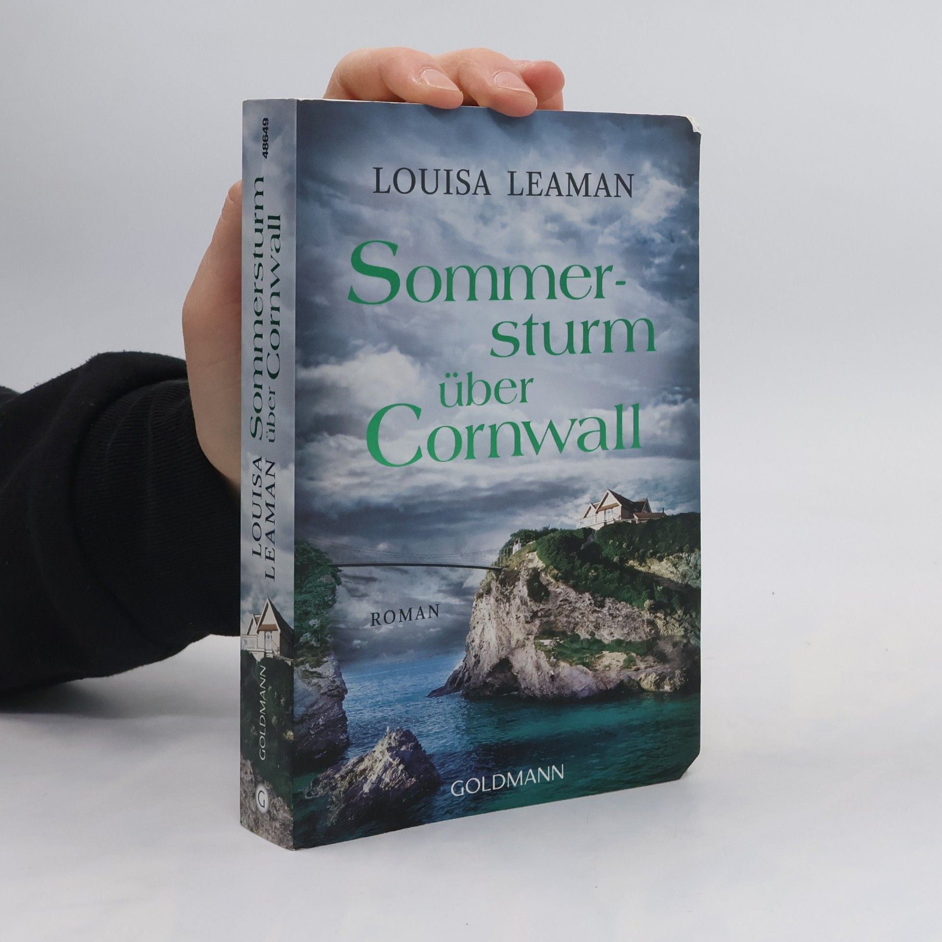 Louisa Leaman Sommersturm über Cornwall