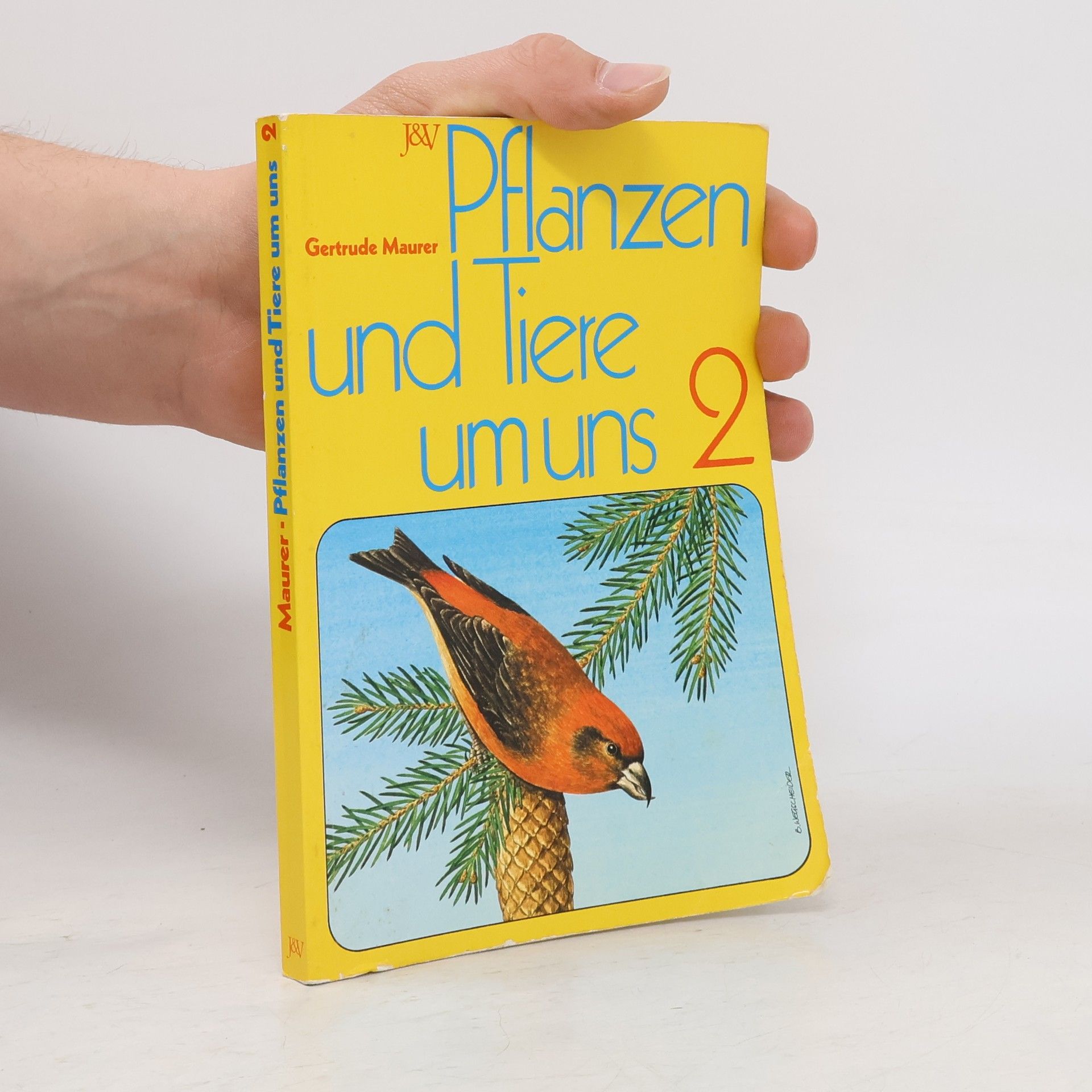 Gertrude Maurer Pflanzen und Tiere um uns 2