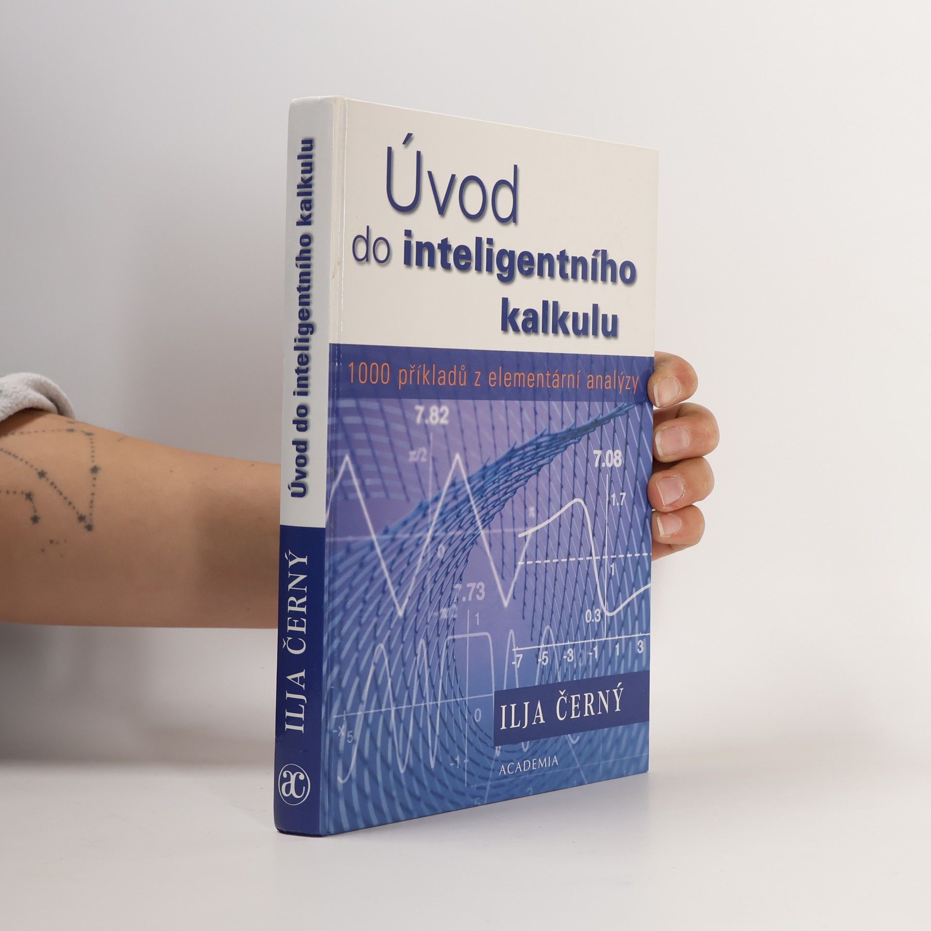 Úvod do inteligentního kalkulu : 1000 příkladů z elementární analýzy