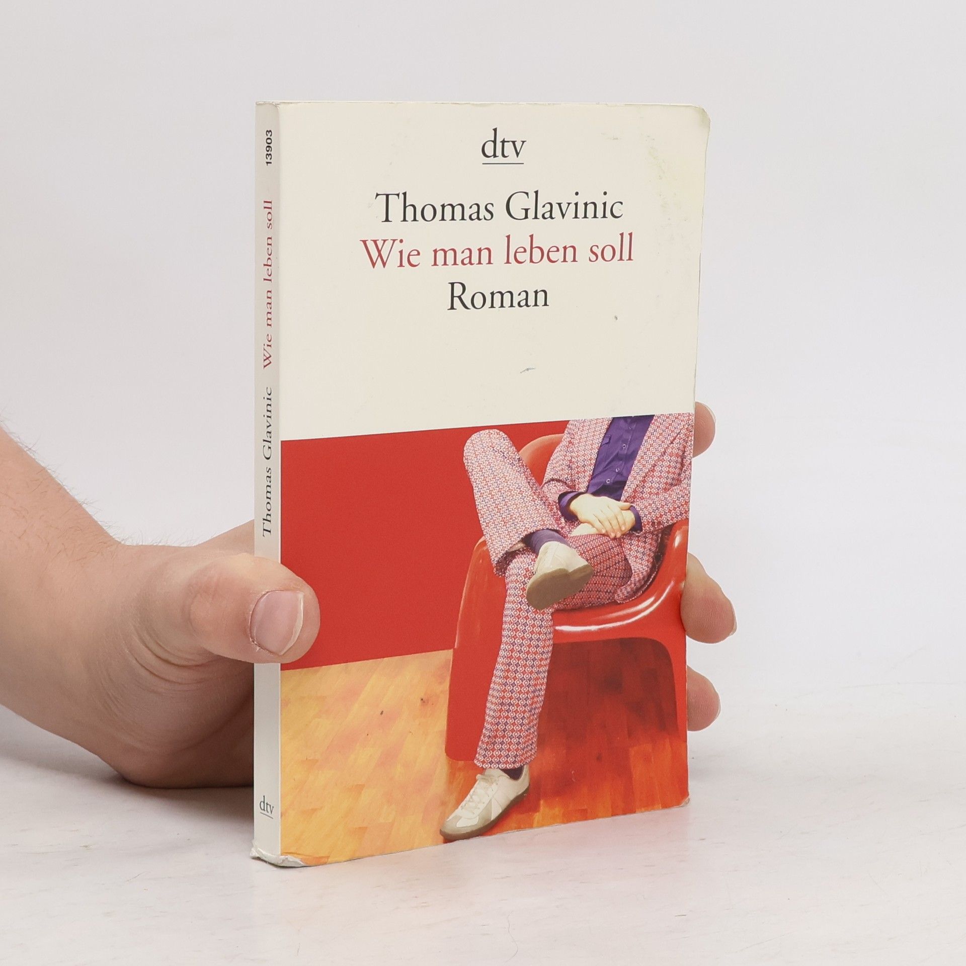 Thomas Glavinic Wie Man leben Soll