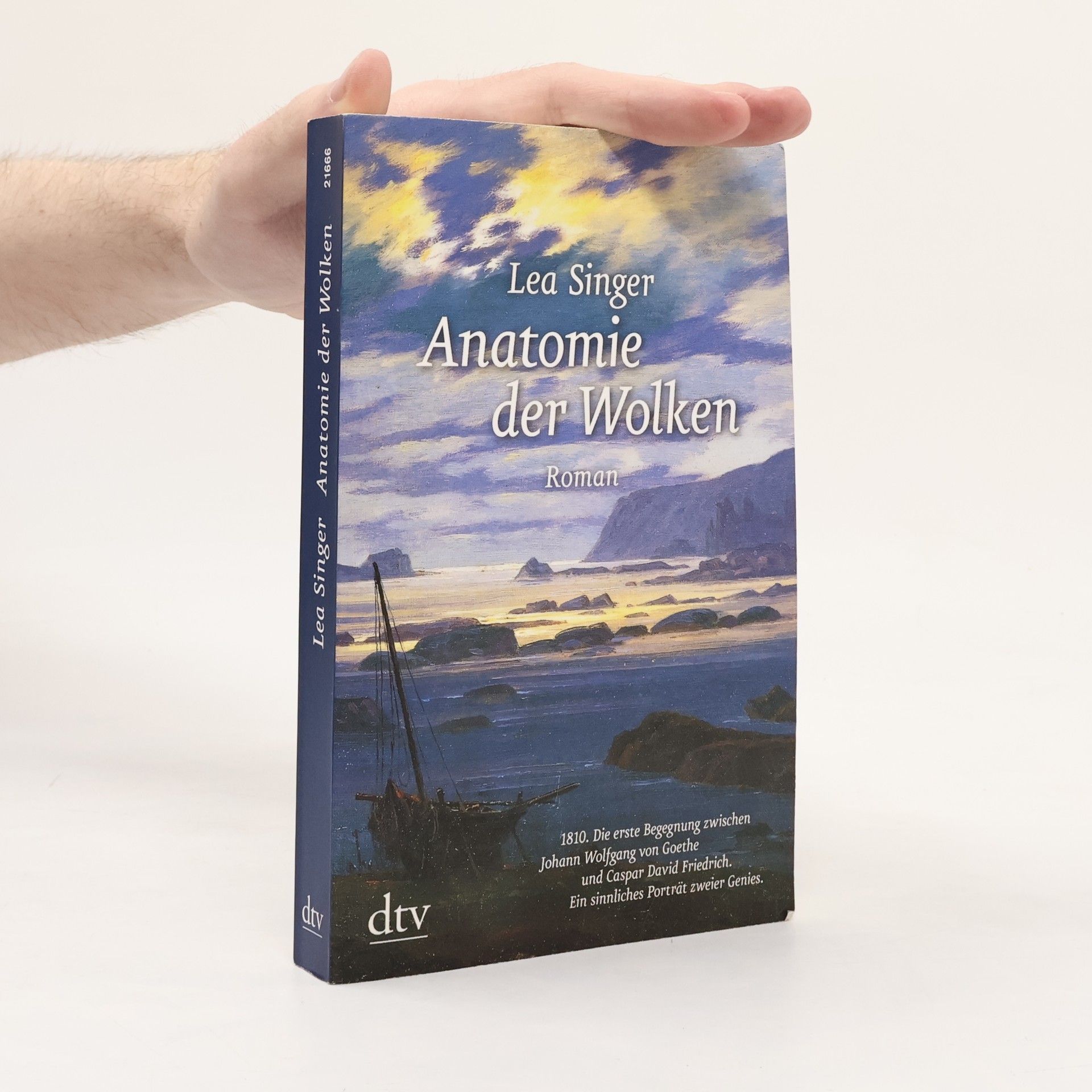 Lea Singer Anatomie der Wolken