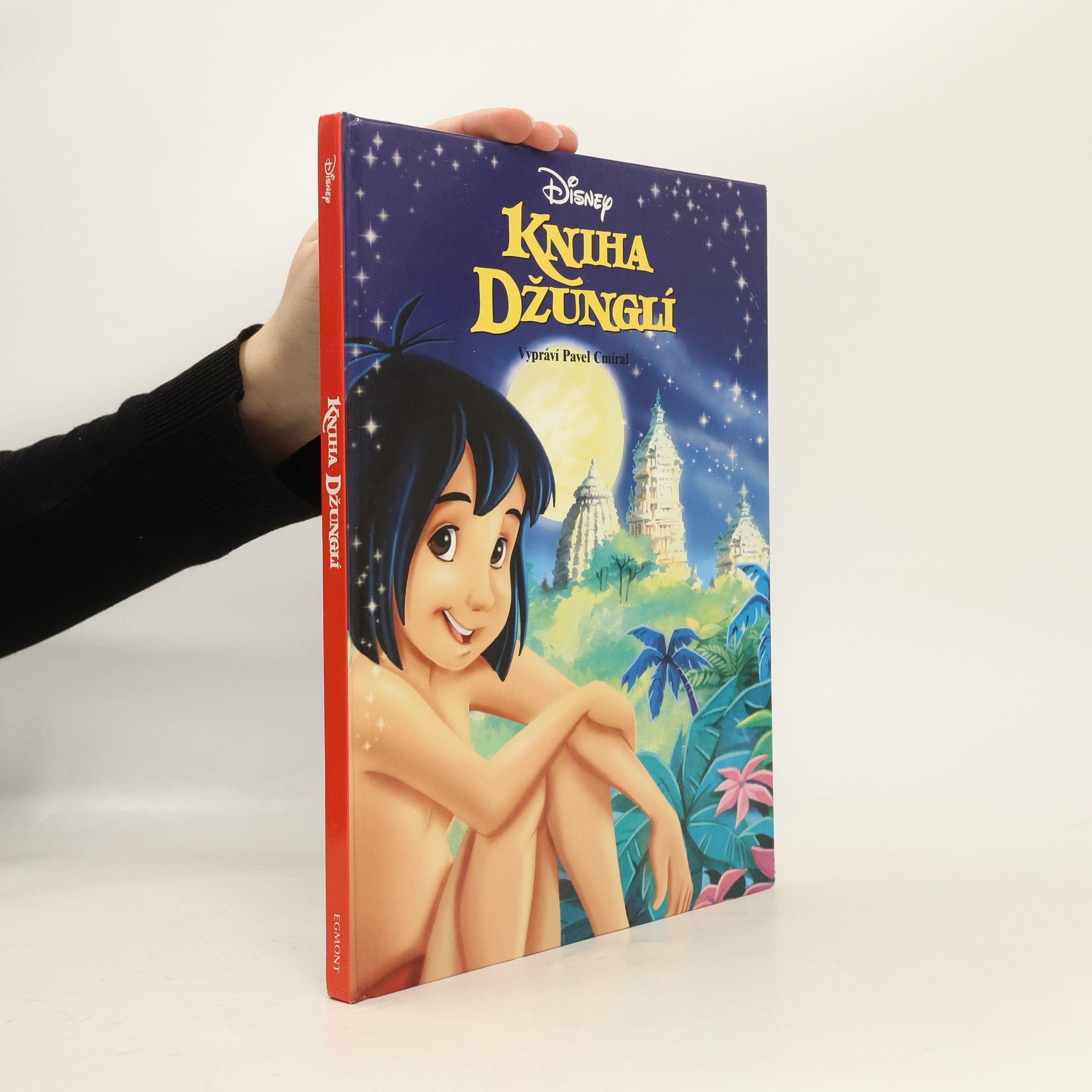 Pavel Cmíral Kniha džunglí