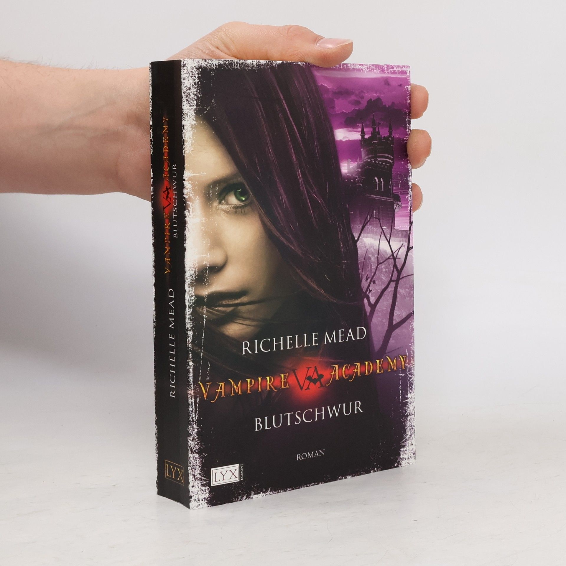 Richelle Mead Vampire Academy. Blutschwur