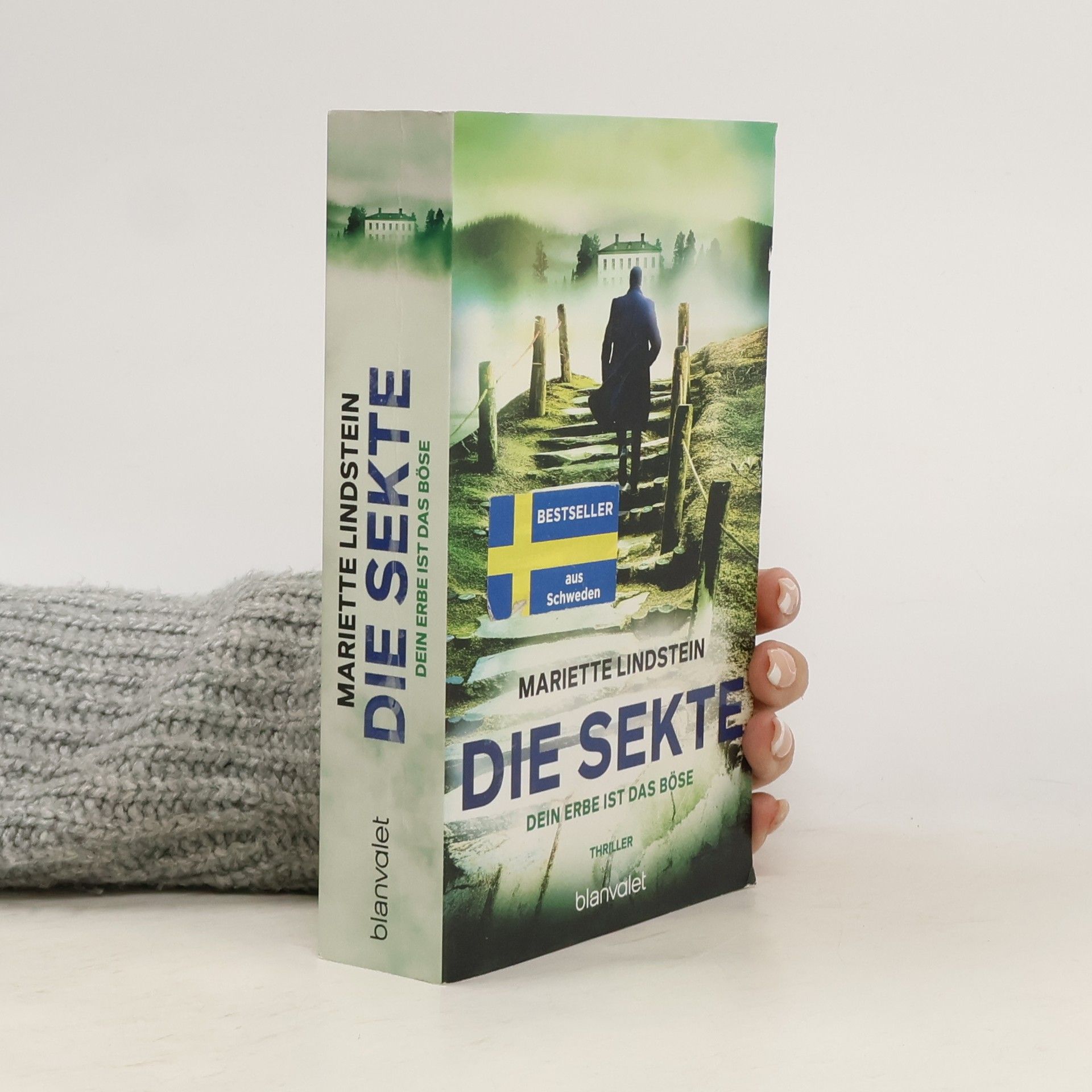 Mariette Lindstein Die Sekte – Dein Erbe ist das Böse. Thriller