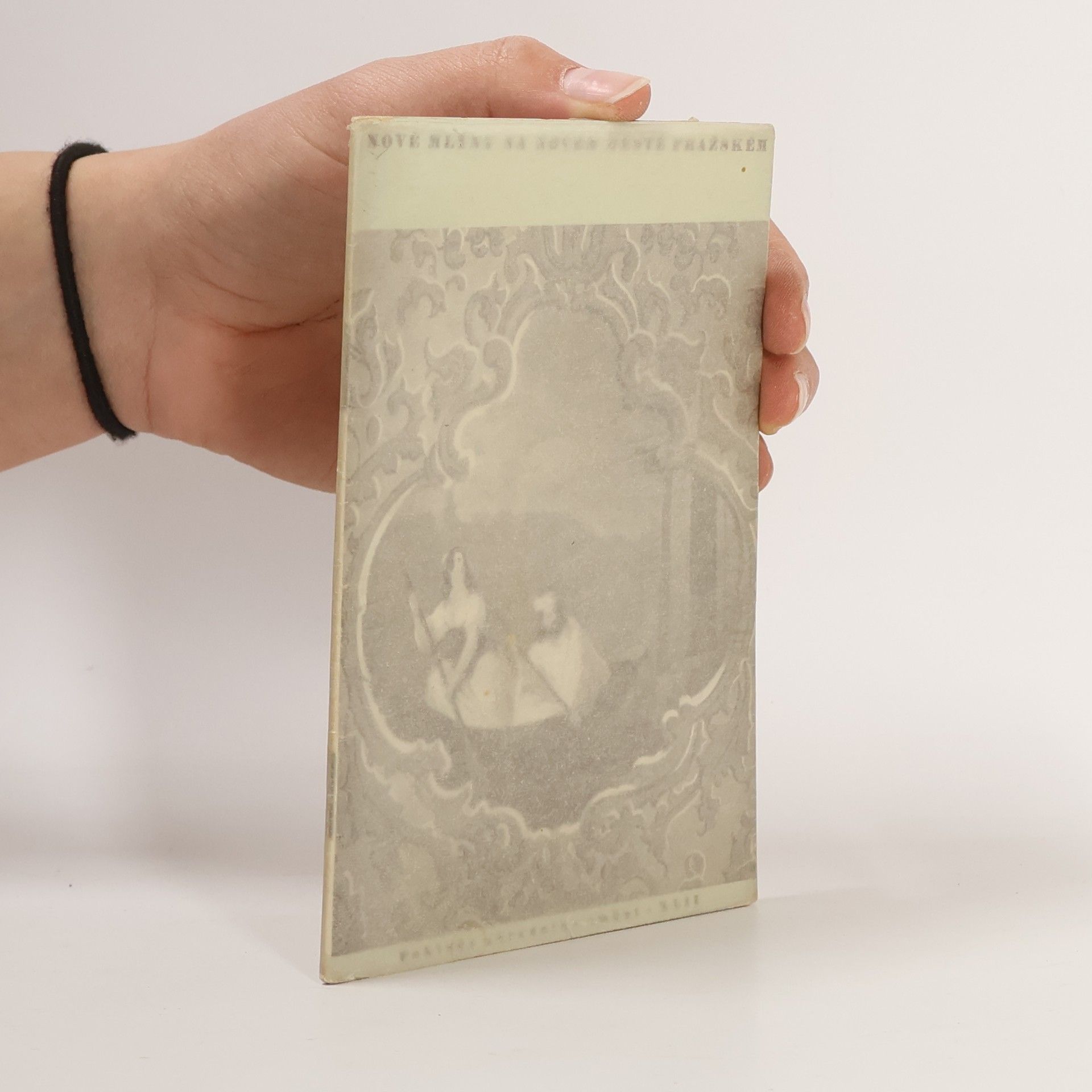 Anna Masaryková Nové mlýny na Novém městě pražském