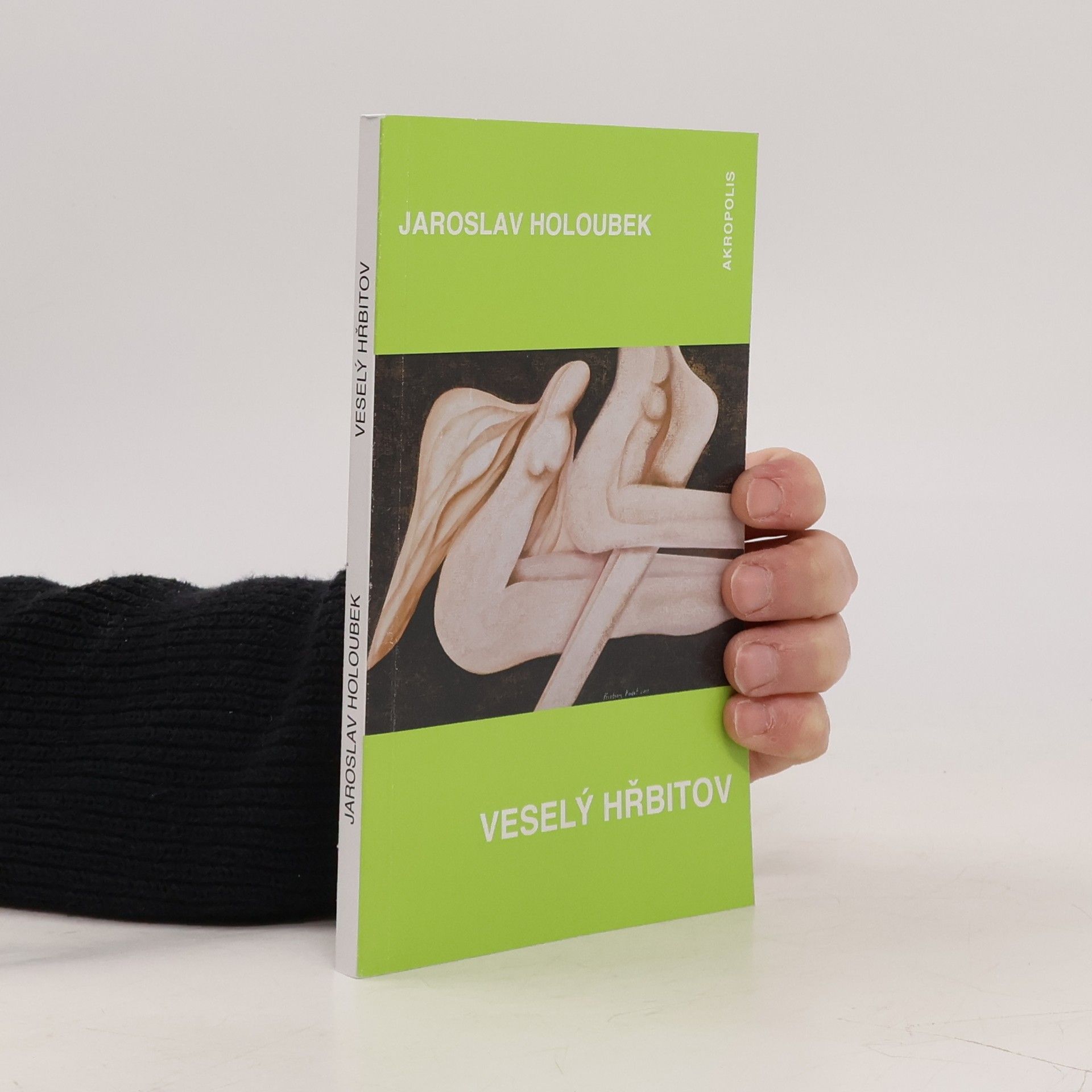 Jaroslav Holoubek Veselý hřbitov