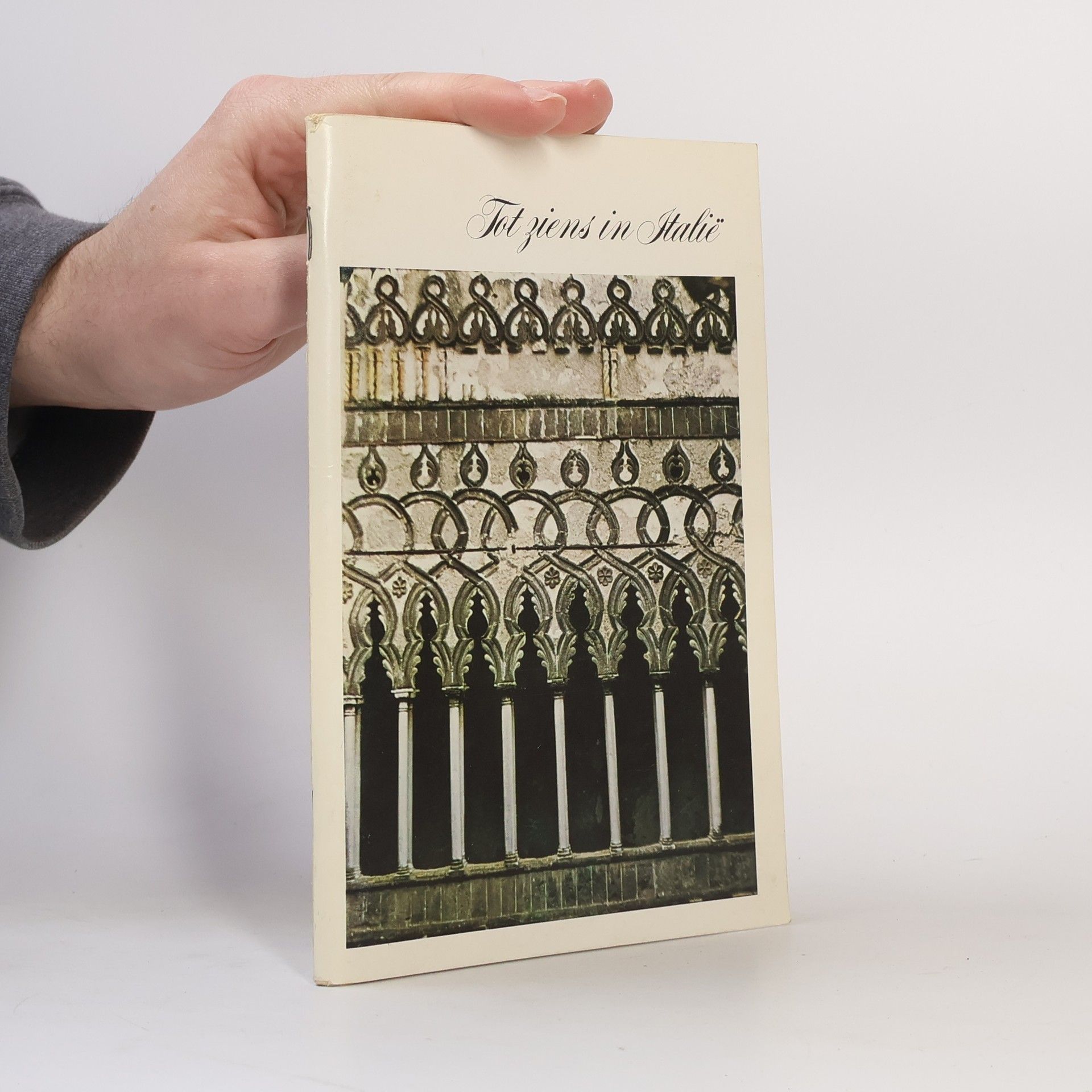 Kolektiv autorů Tot ziens in Italië