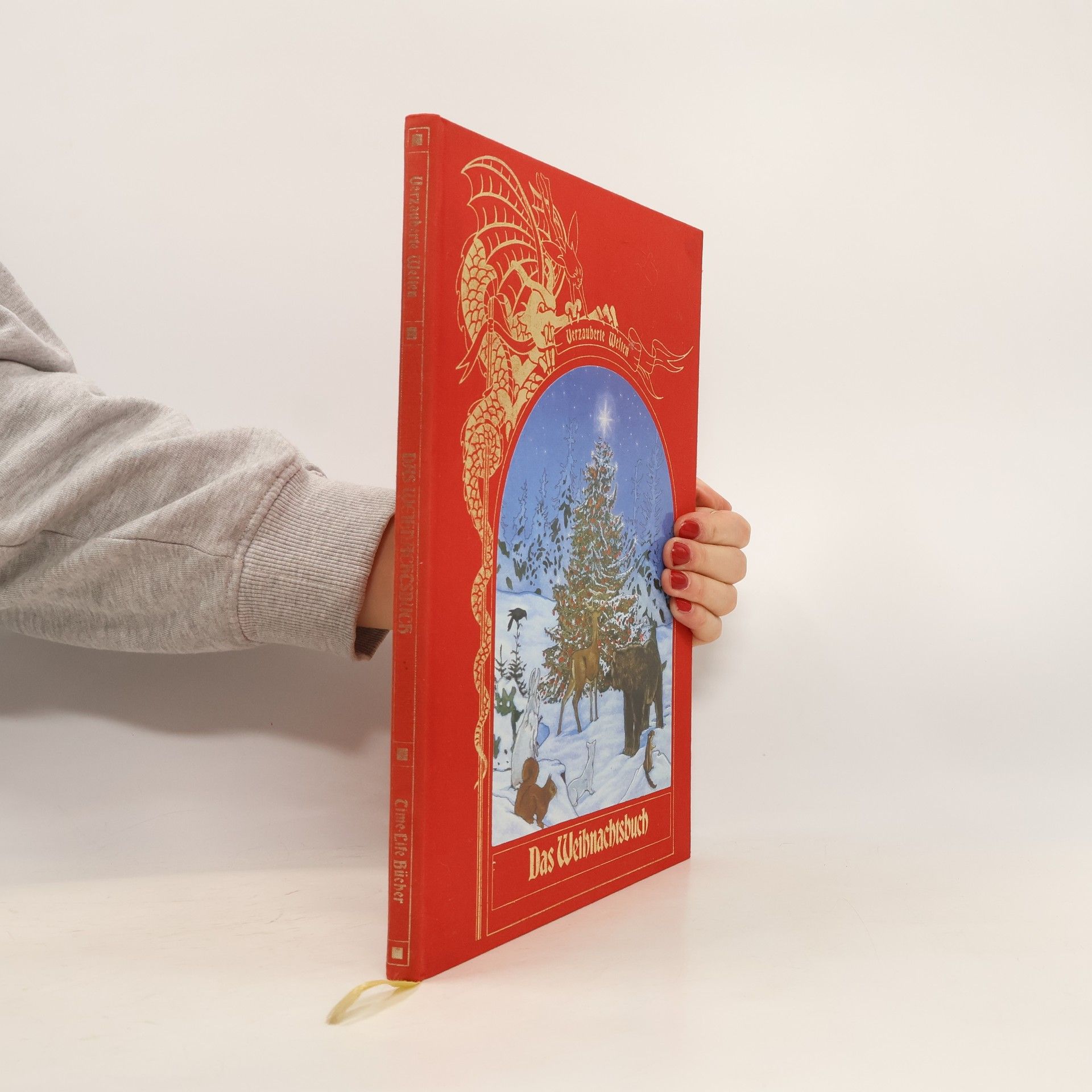 Brendan Lehane Das Weihnachtsbuch