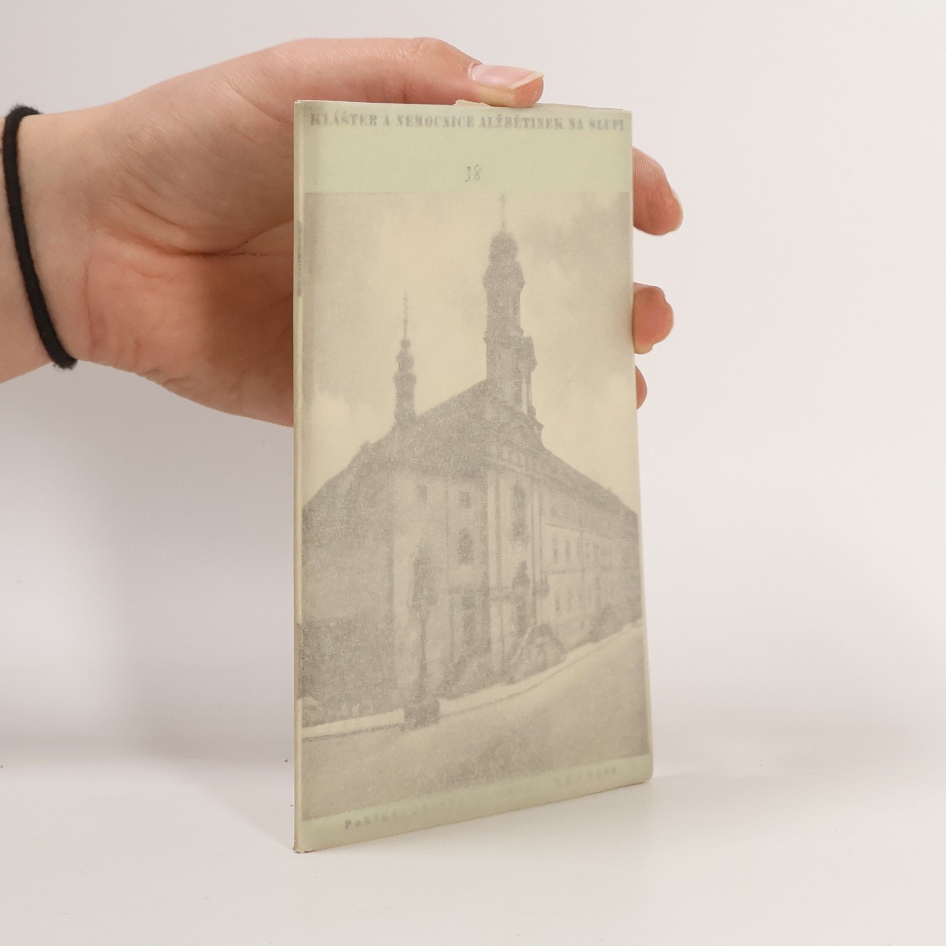 Jindřich Šámal Klášter a nemocnice Alžbětinek na Slupi