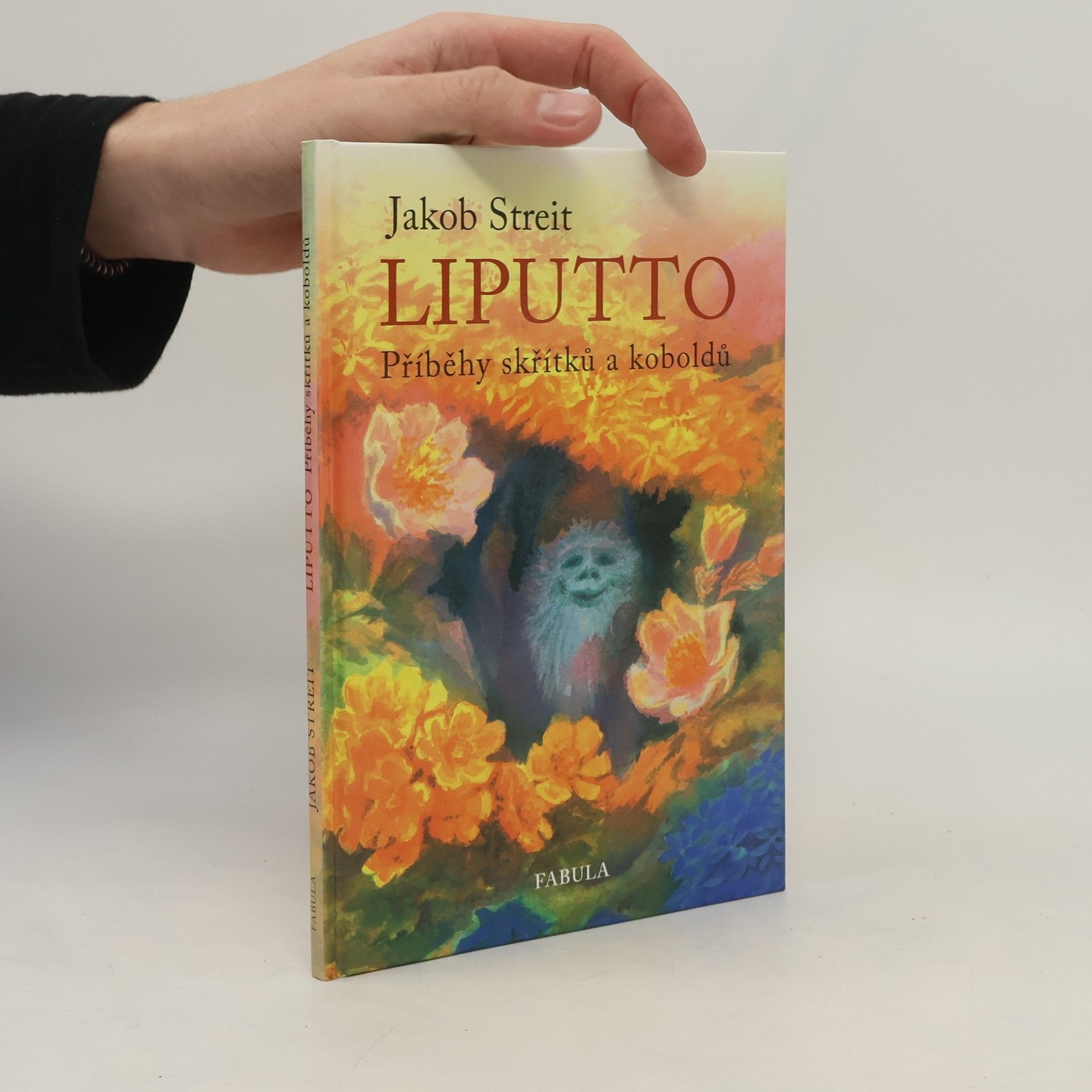 Liputto : příběhy skřítků a koboldů