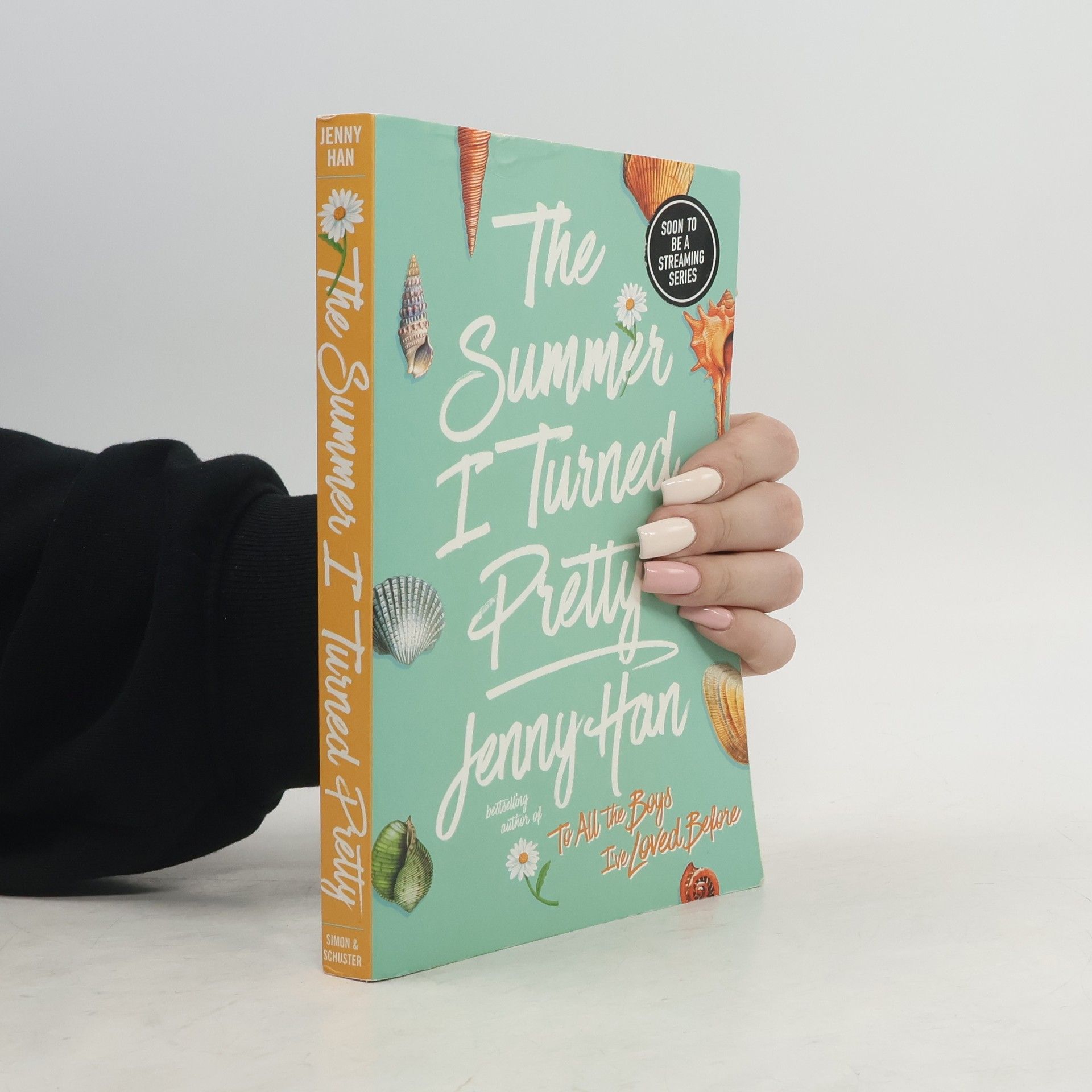 Jenny Han The Summer I Turned Pretty