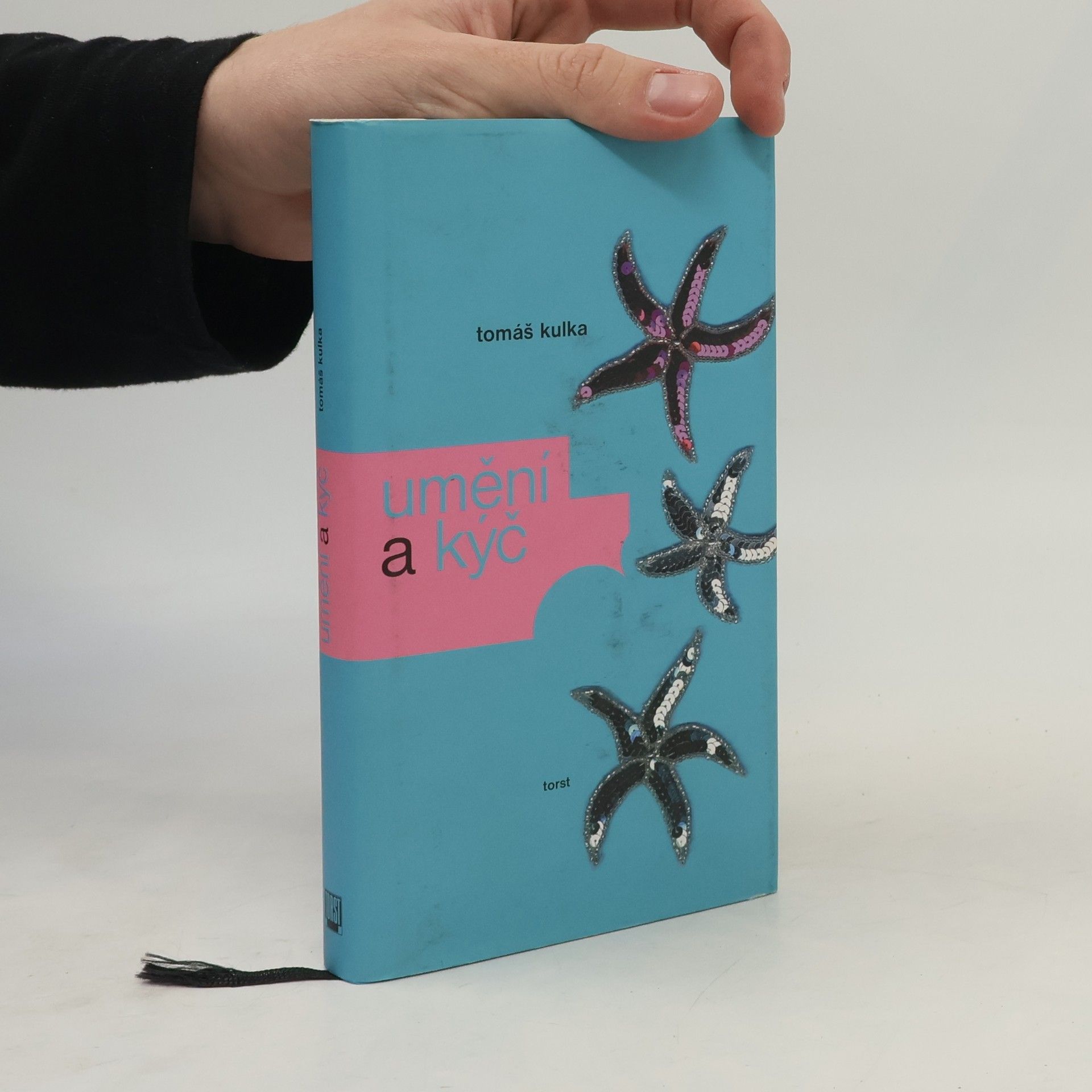 Tomáš Kulka Umění a kýč