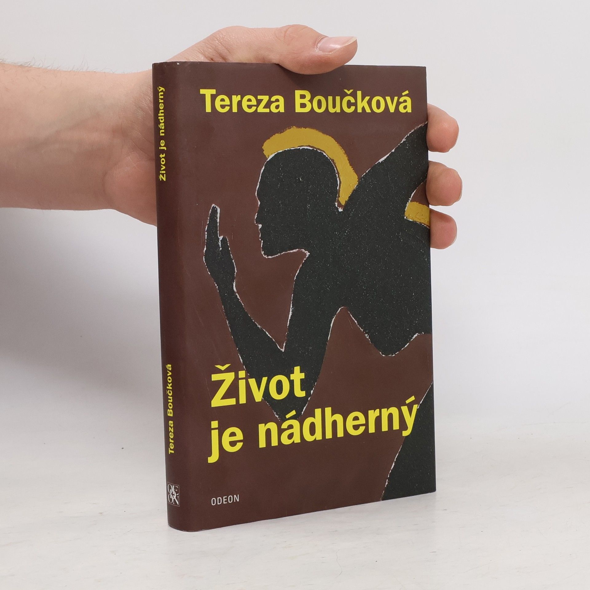 Tereza Boučková Život je nádherný