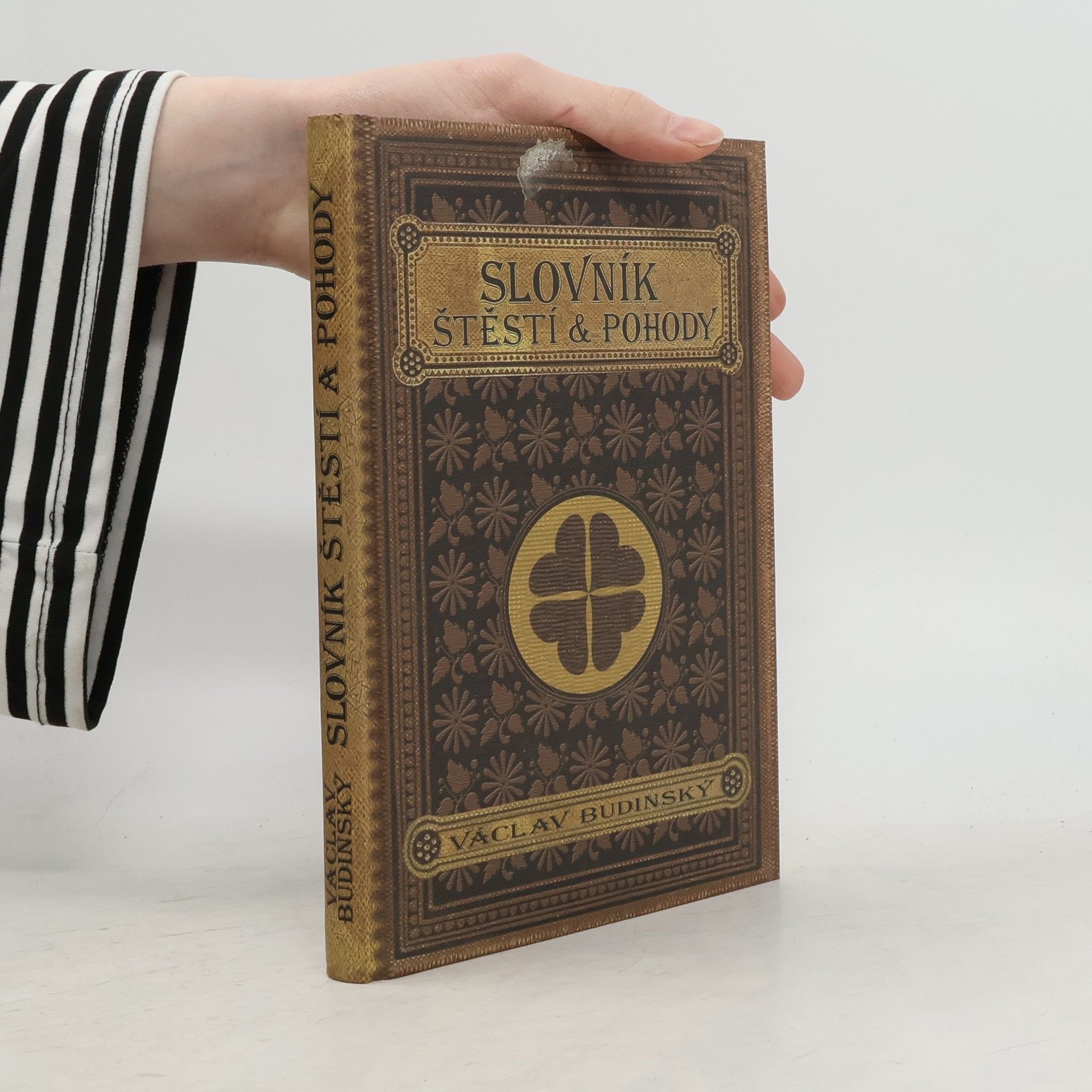 Václav Budinský Slovník štěstí & pohody