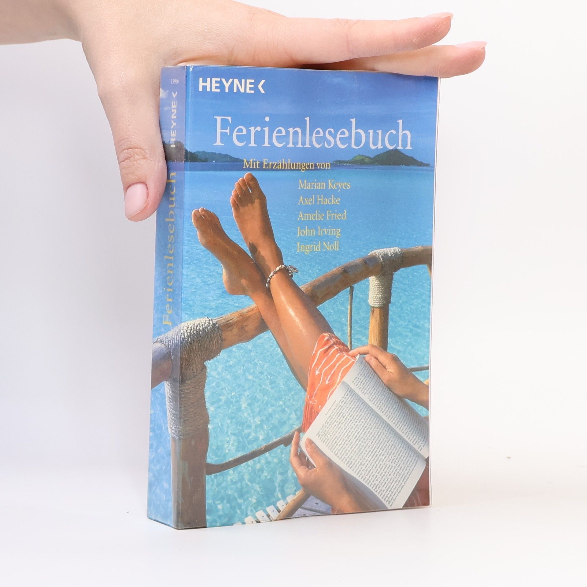 Ferienlesebuch