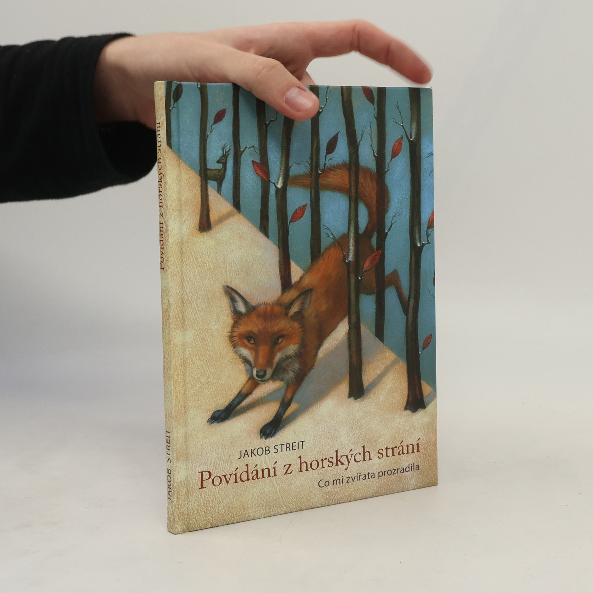 Jakob Streit Povídání z horských strání